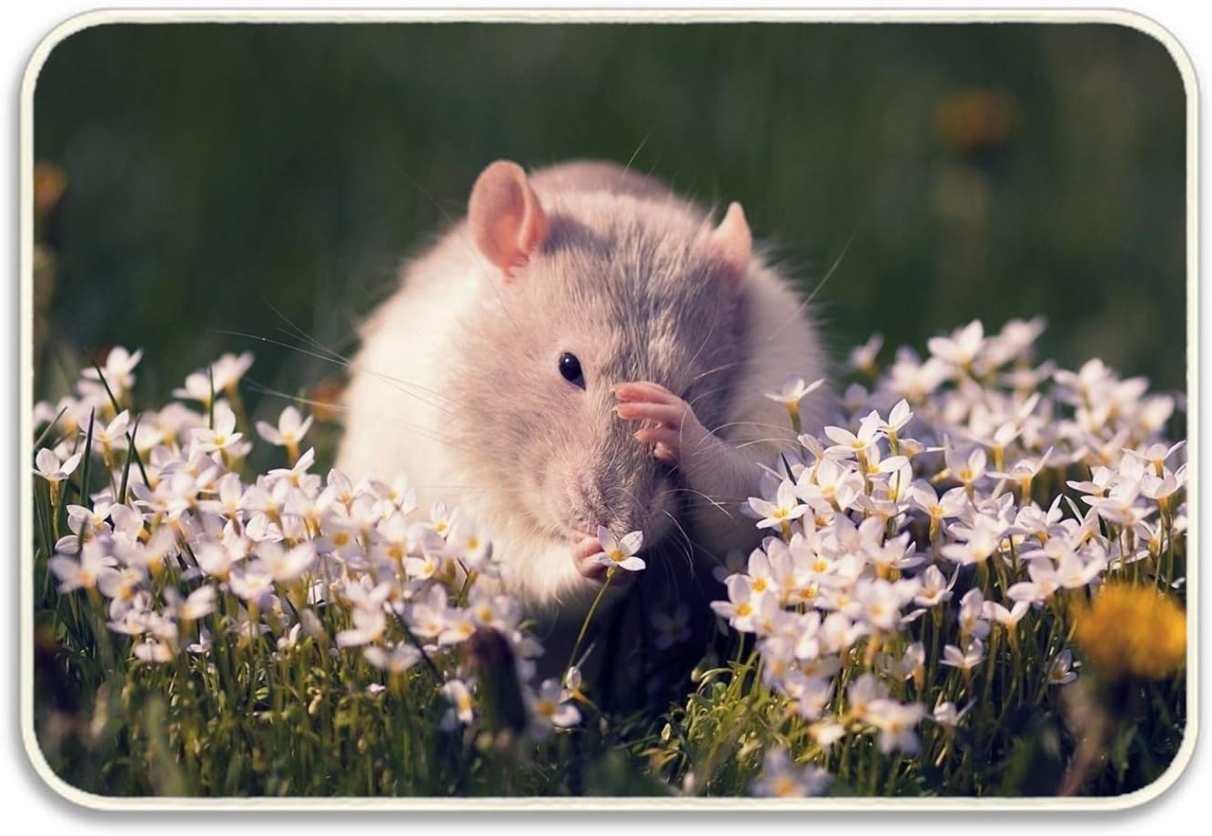 Amazon 玄関マット 階段 滑り止めマット 屋内 屋外 おしゃれ 北欧 洗える ドア 泥落としマットマウス お風呂マット 吸水 肌触り キッチン 廊下マット約60x40cm 玄関マット オンライン通販