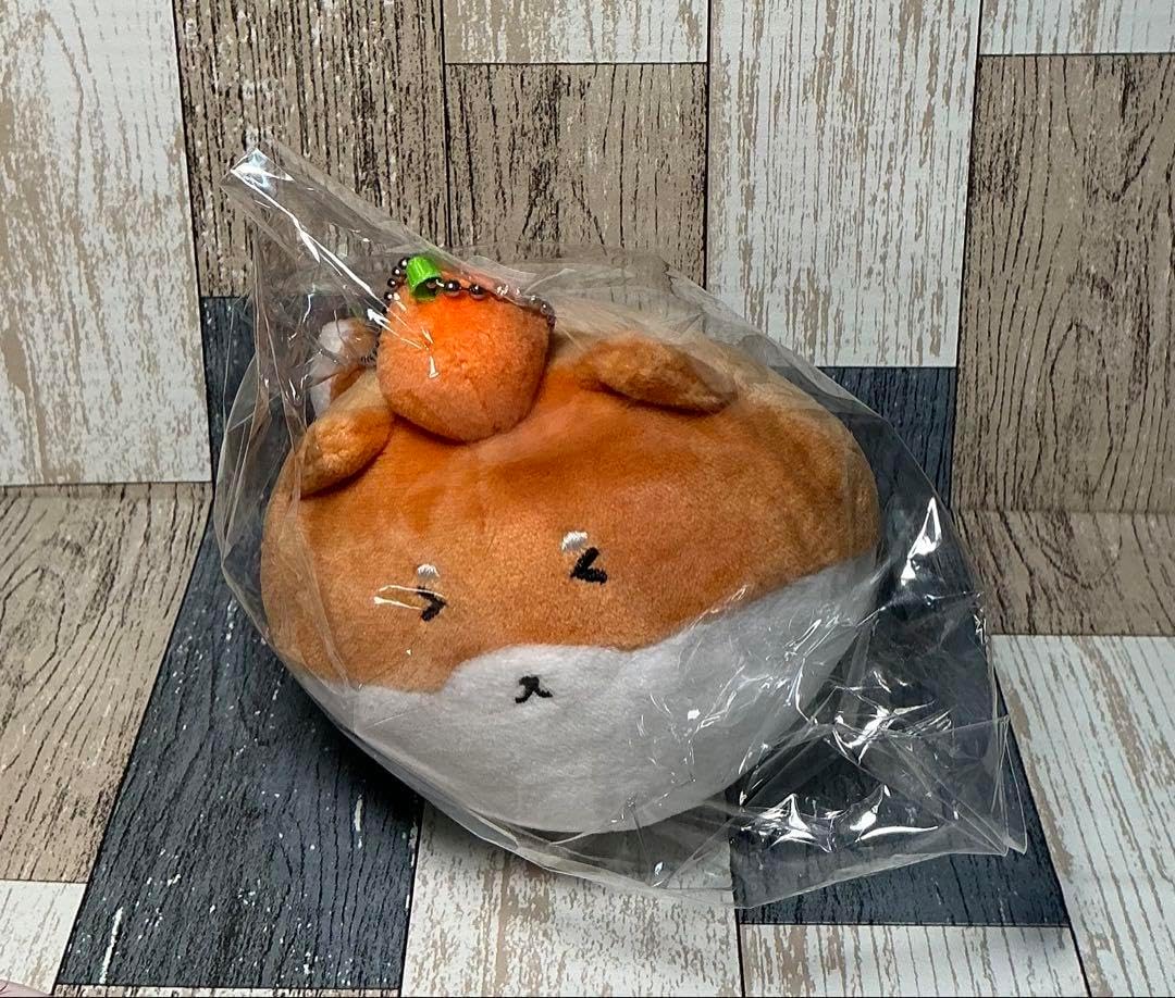 きなこ犬 kinako CR ぬいぐるみ Crazy Raccoon きなこ犬 ぬいぐるみ