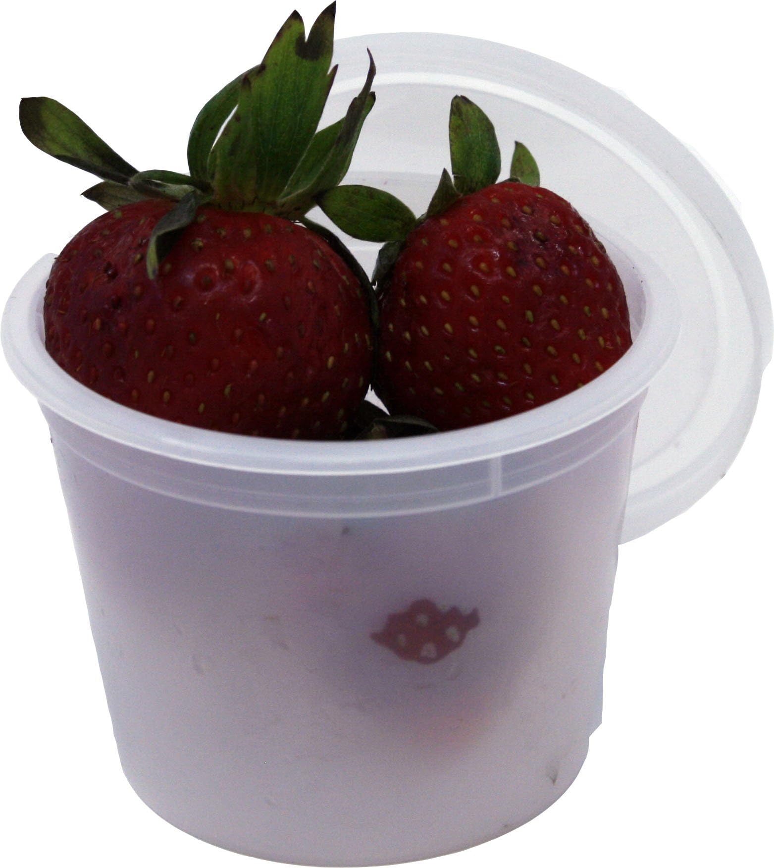 Vito's Famous Deli Container with Lid, 4 Ounce (Pack of 100)