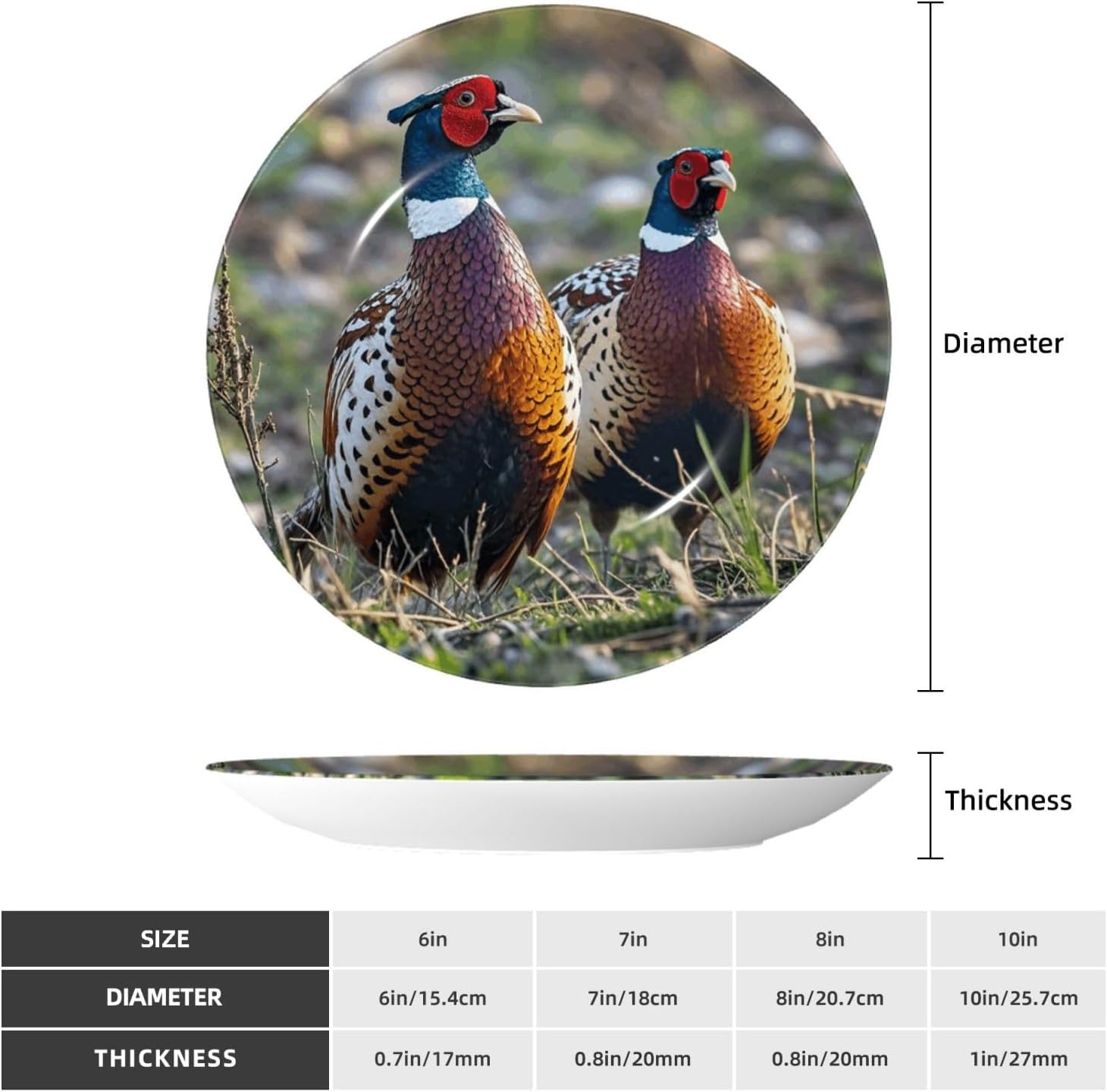 Decorative Plate Art Crafts Bone China Decorative Plate with Display Rack Souvenir Wall Decor Ceramic Ornaments Dinner Plates Ceramic Decoratives Plates for Home Office 10in