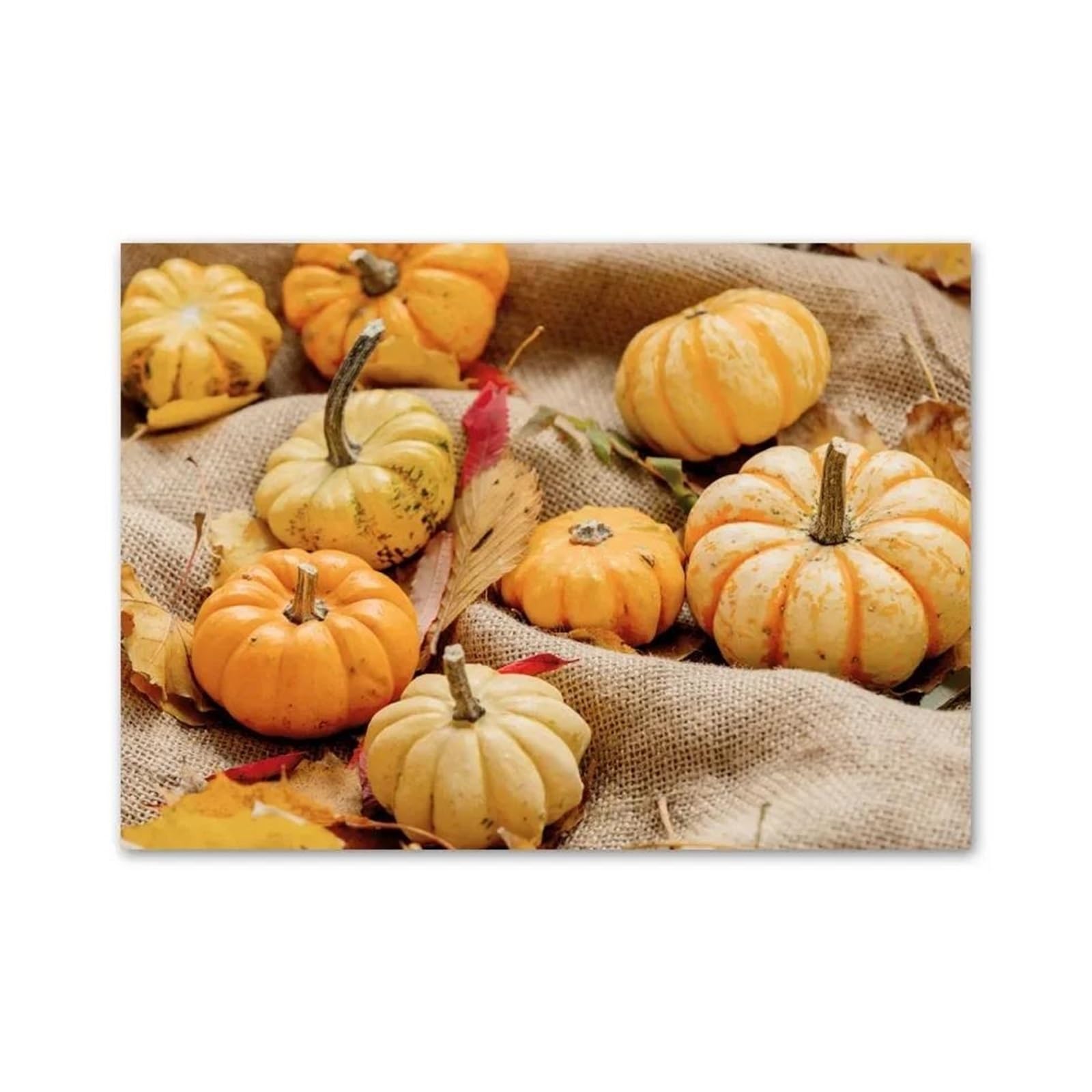 Peinture champ d'automne papillon citrouille rompez la monotonie de vos murs blancs
