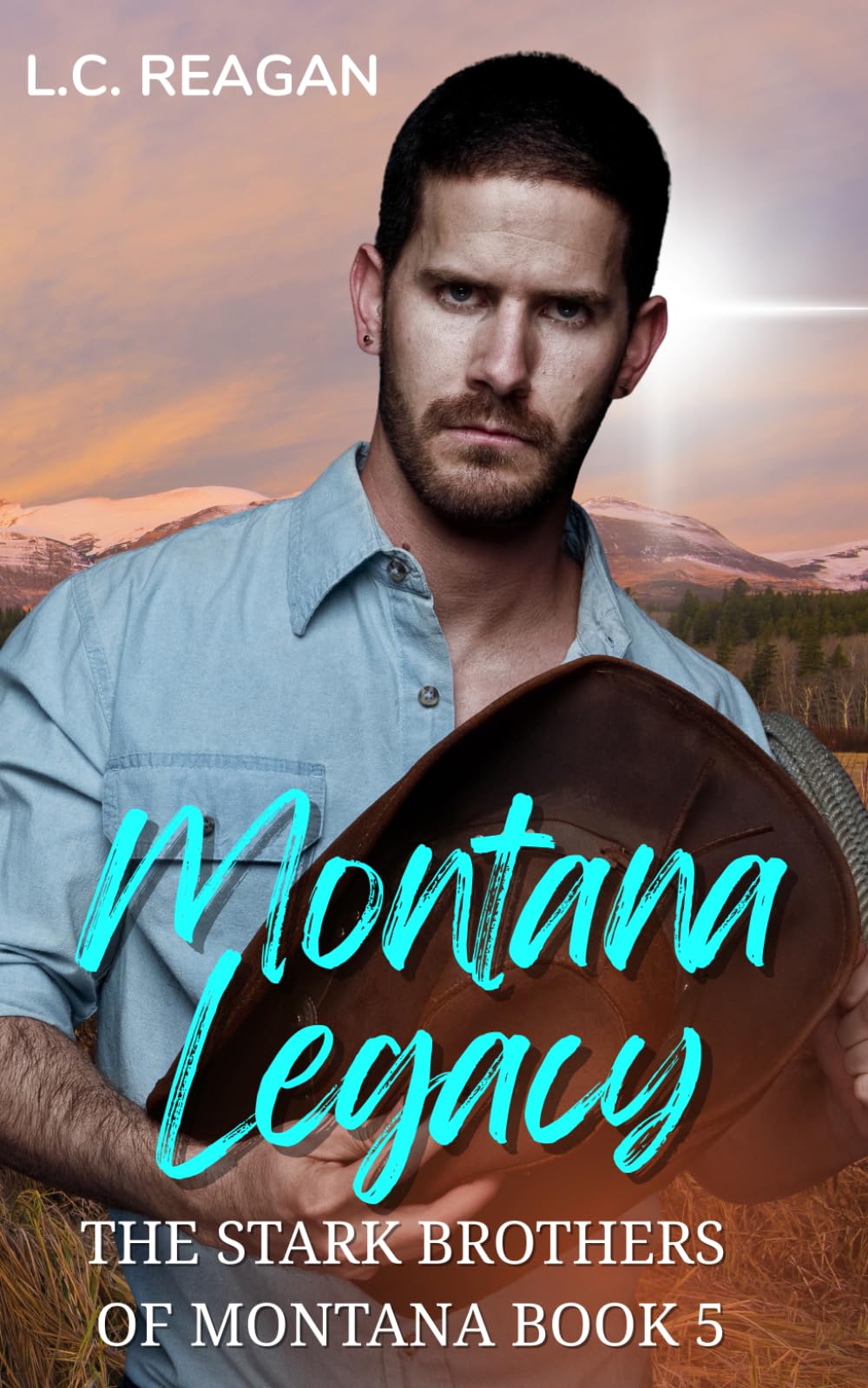 Montana Legacy: A Forbidden Small-Town Cowboy Romance (Beau's Story) (The Stark Brothers of Montana)