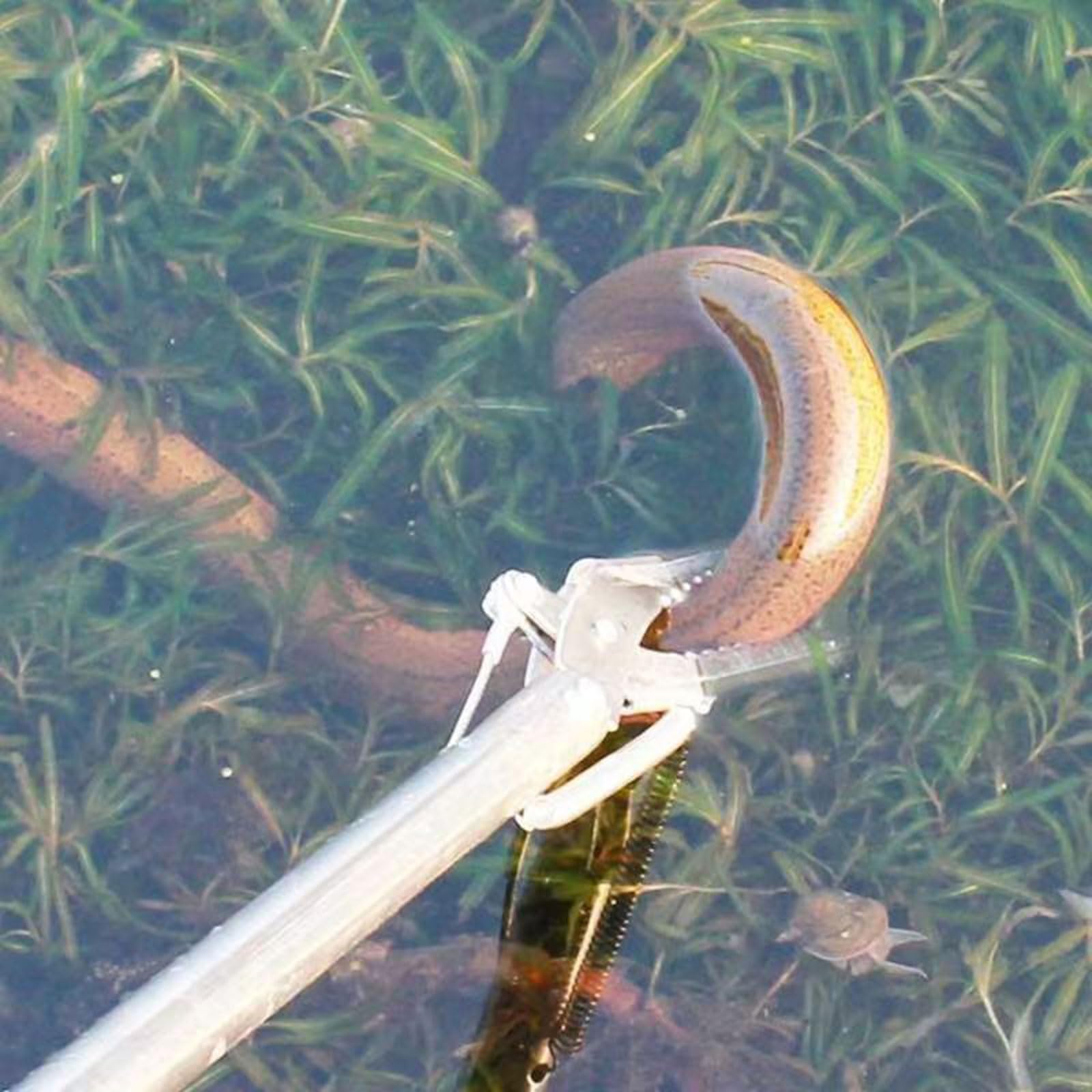 Pince à serpent pliable en acier inoxydable pour reptiles 120 cm