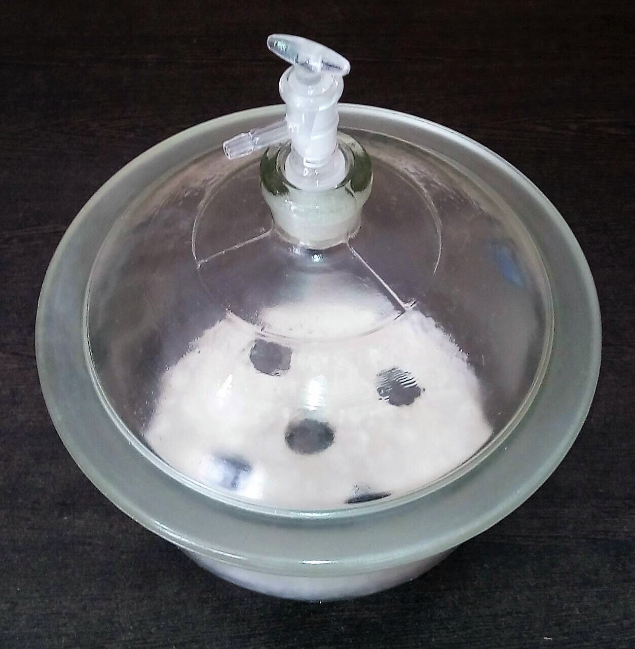 10" Glass Vacuum Desiccator Jar Lab Desiccator Dryer Lid with Valve