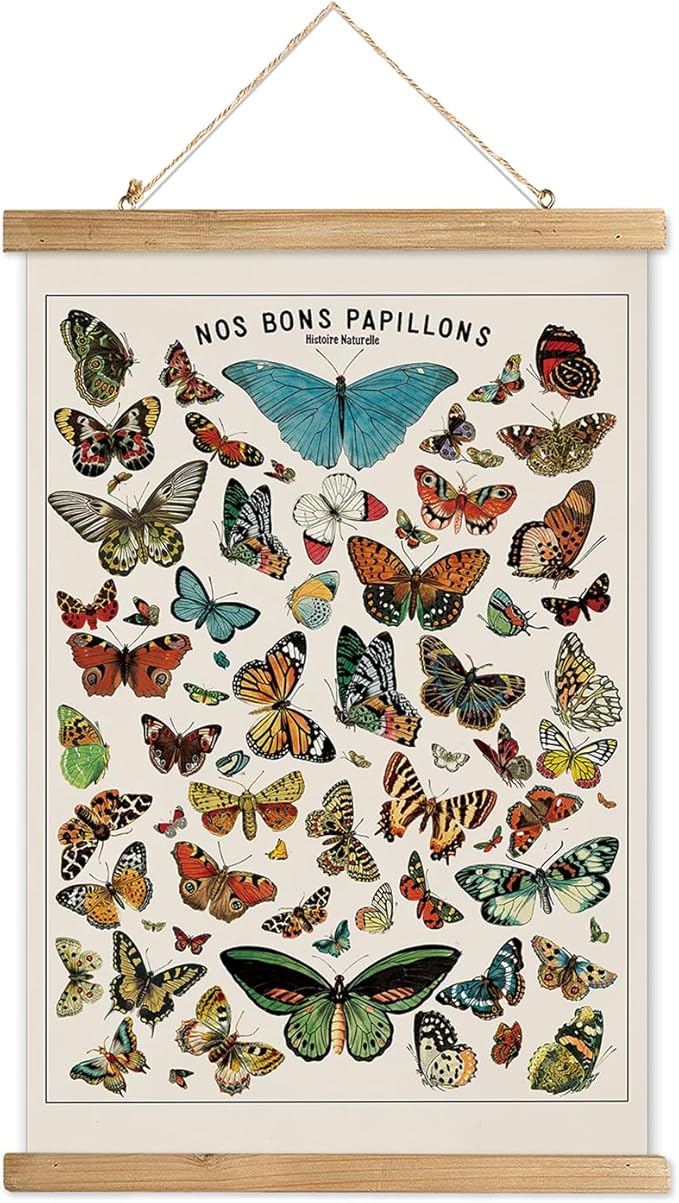 Vintage Butterfly Poster with Wooden Frame