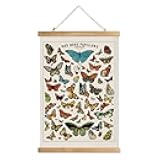 XIAOAIKA Vintage Butterfly Poster with Wooden Frame, Cottagecore Room Decor Aesthetic, Retro Style Wall Decor Art Painting for Nature Lovers, Classrooms, and Home Decor 16 x 23 Inches