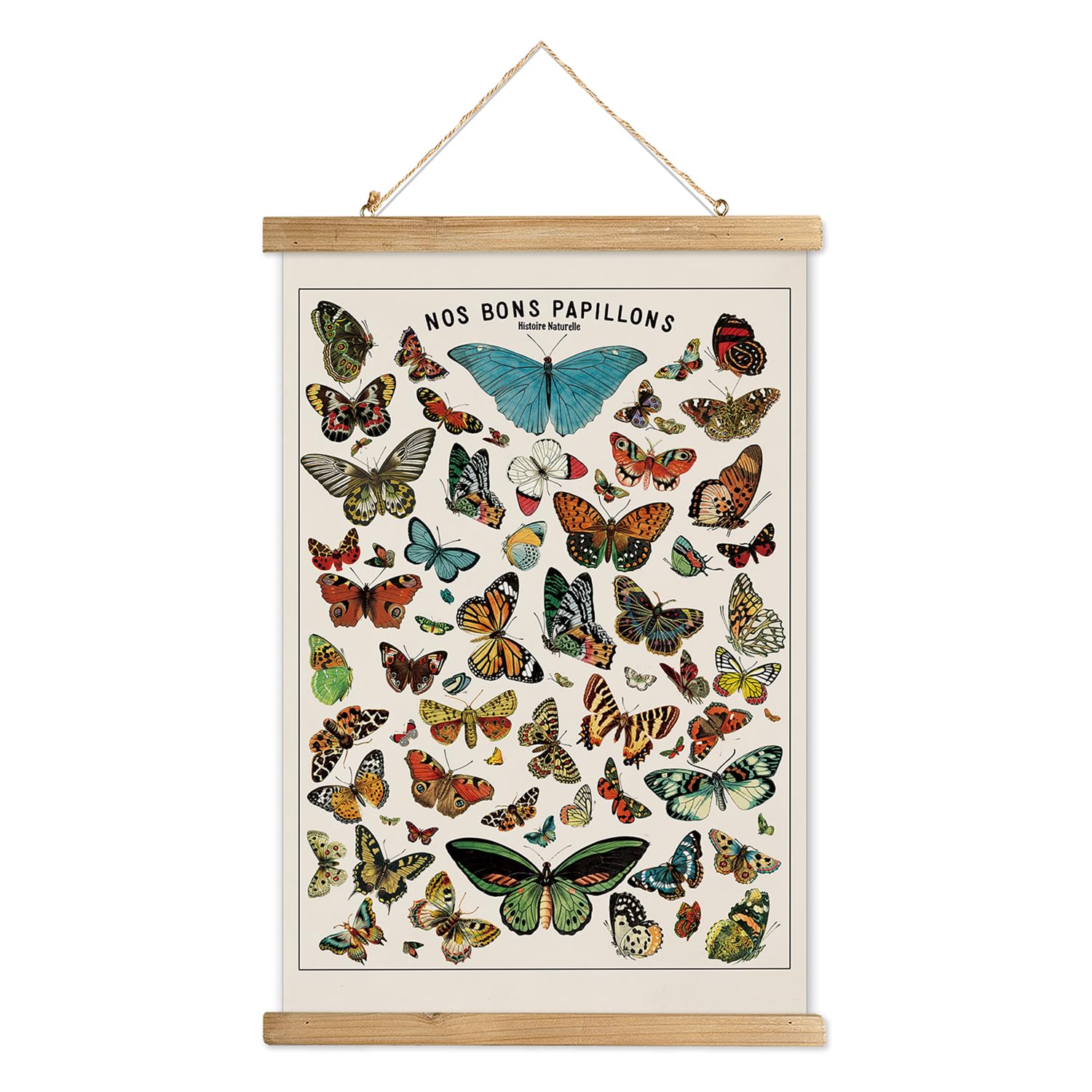 XIAOAIKA Vintage Butterfly Poster Hanger Frame, Cottagecore Room Decor Aesthetic, Retro Style Wall Decor Art Painting, Patterns are Printed on Linen Without Fading (16" x 23")