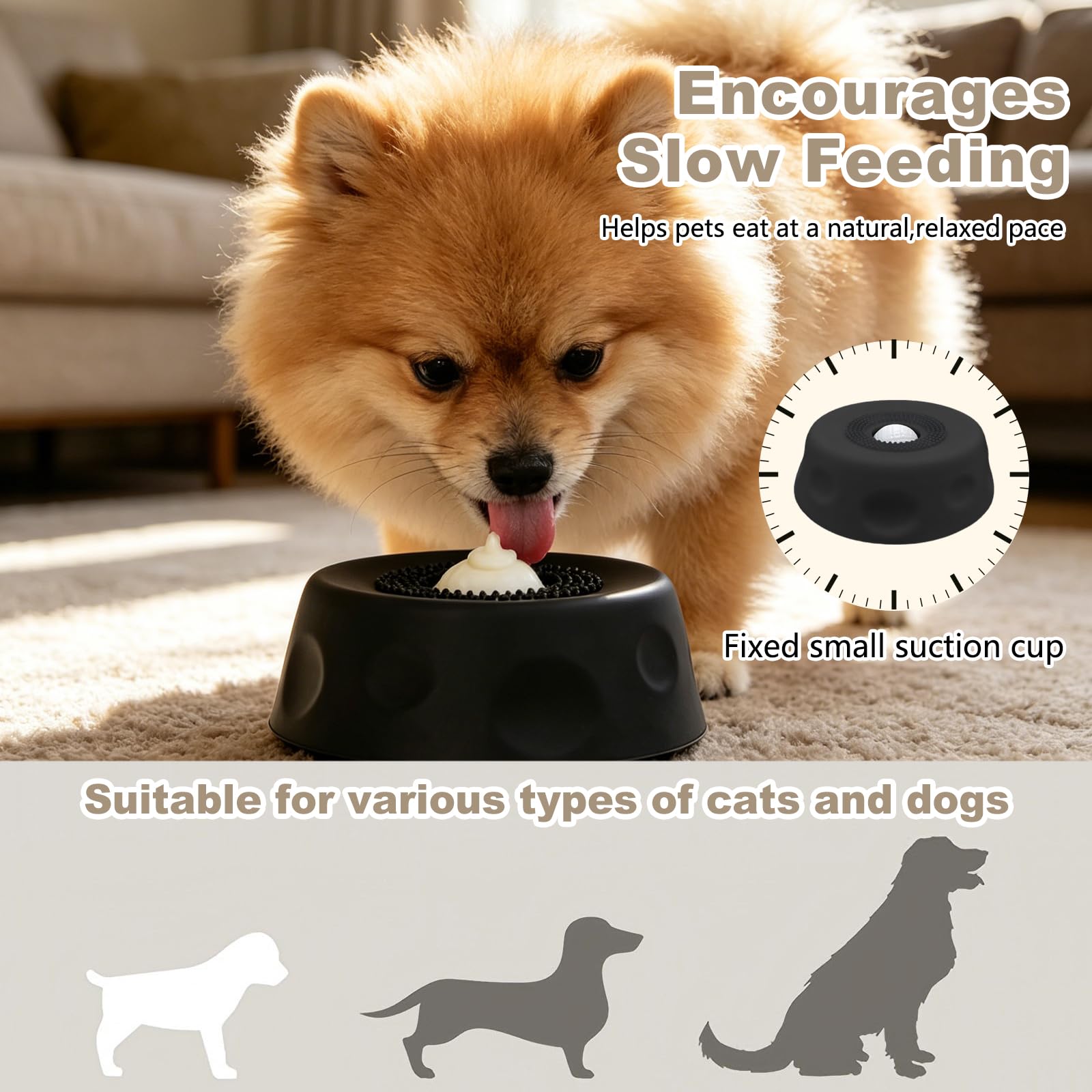 View 5