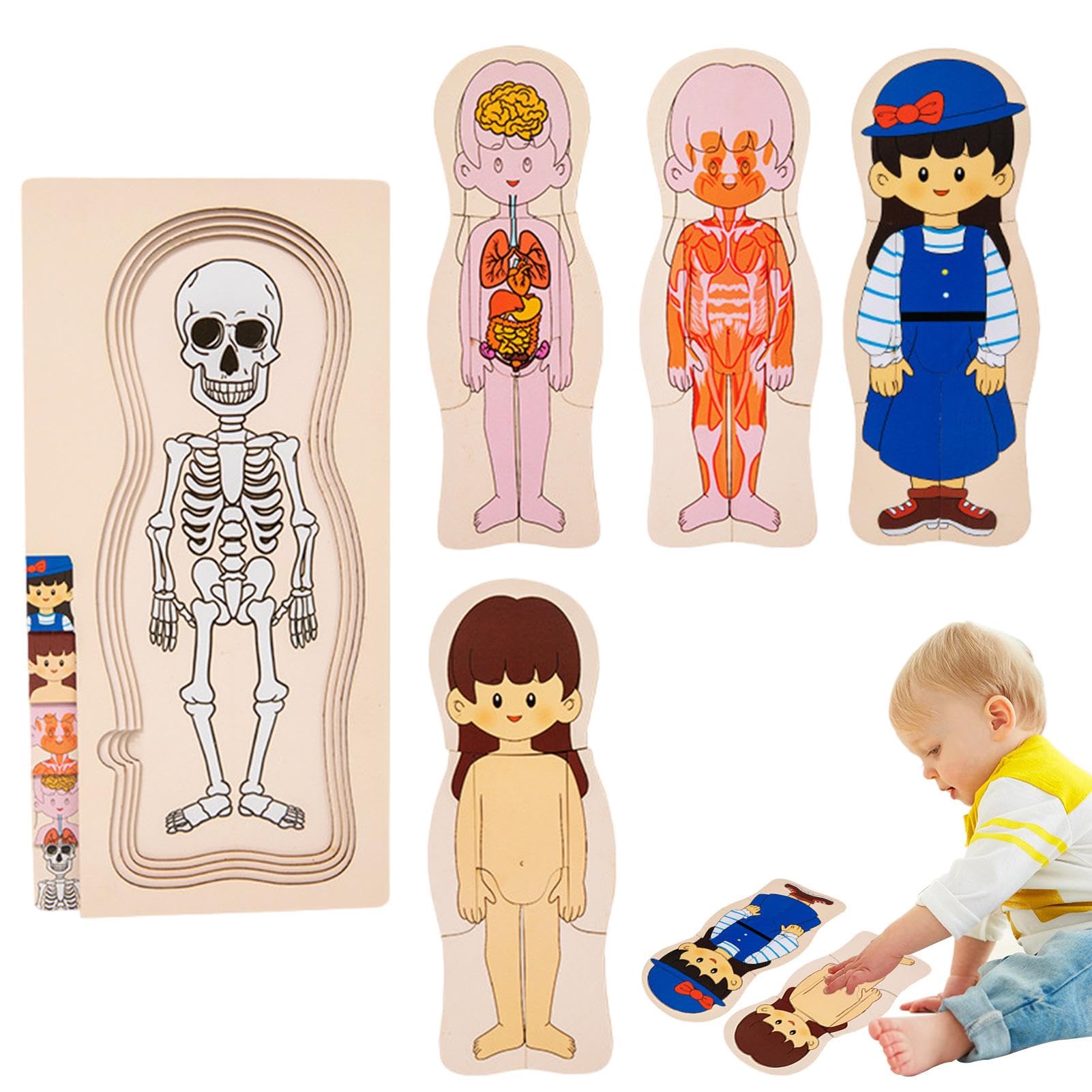 Amazon.co.jp: 子供向け人体パズル、人体構造パズル | 人体模型パズル 