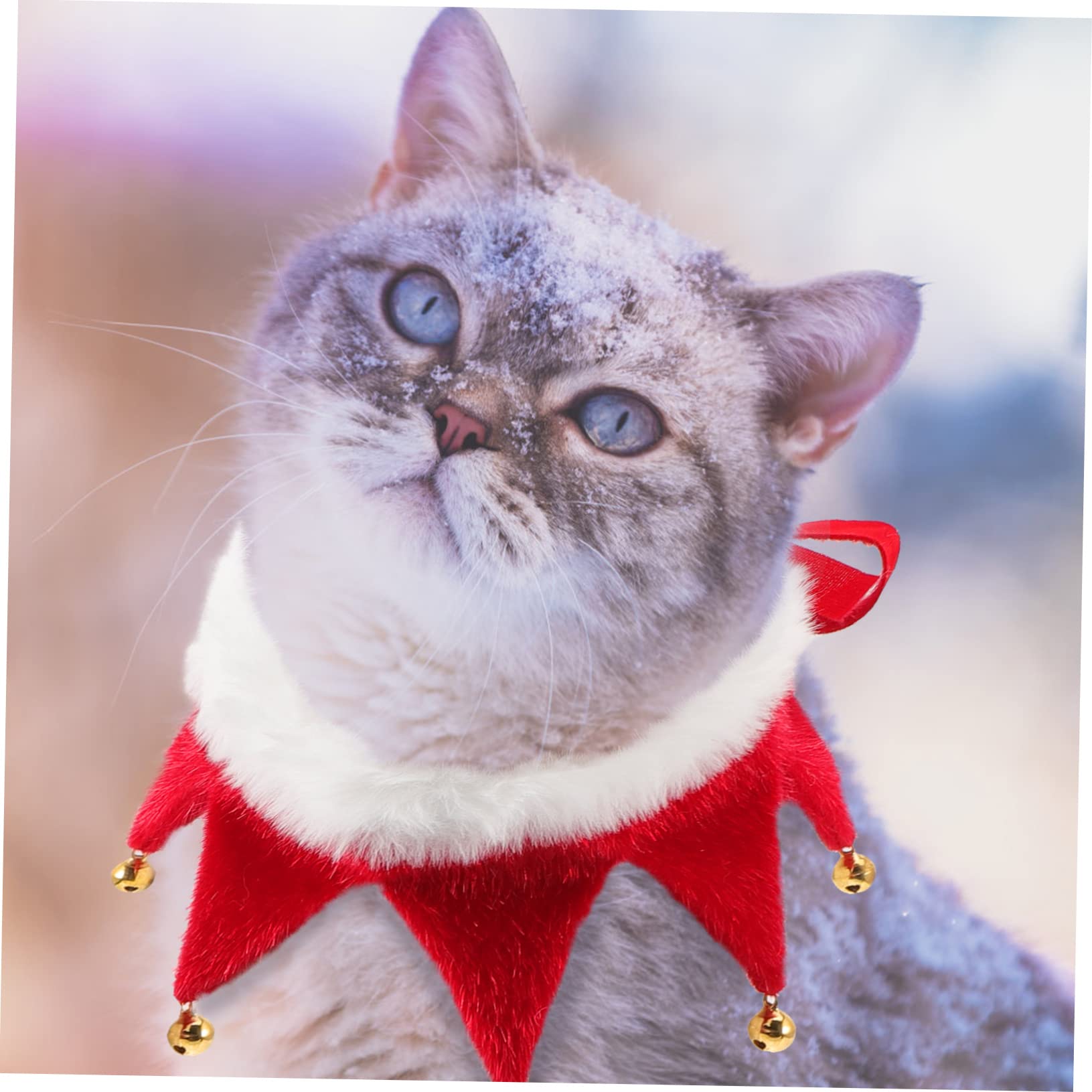 Sosoport 3pièces Collier De pour Animaux avec Clochettes Accessoire pour Chiens Et Écharpe De Fête pour Célébrations Photos