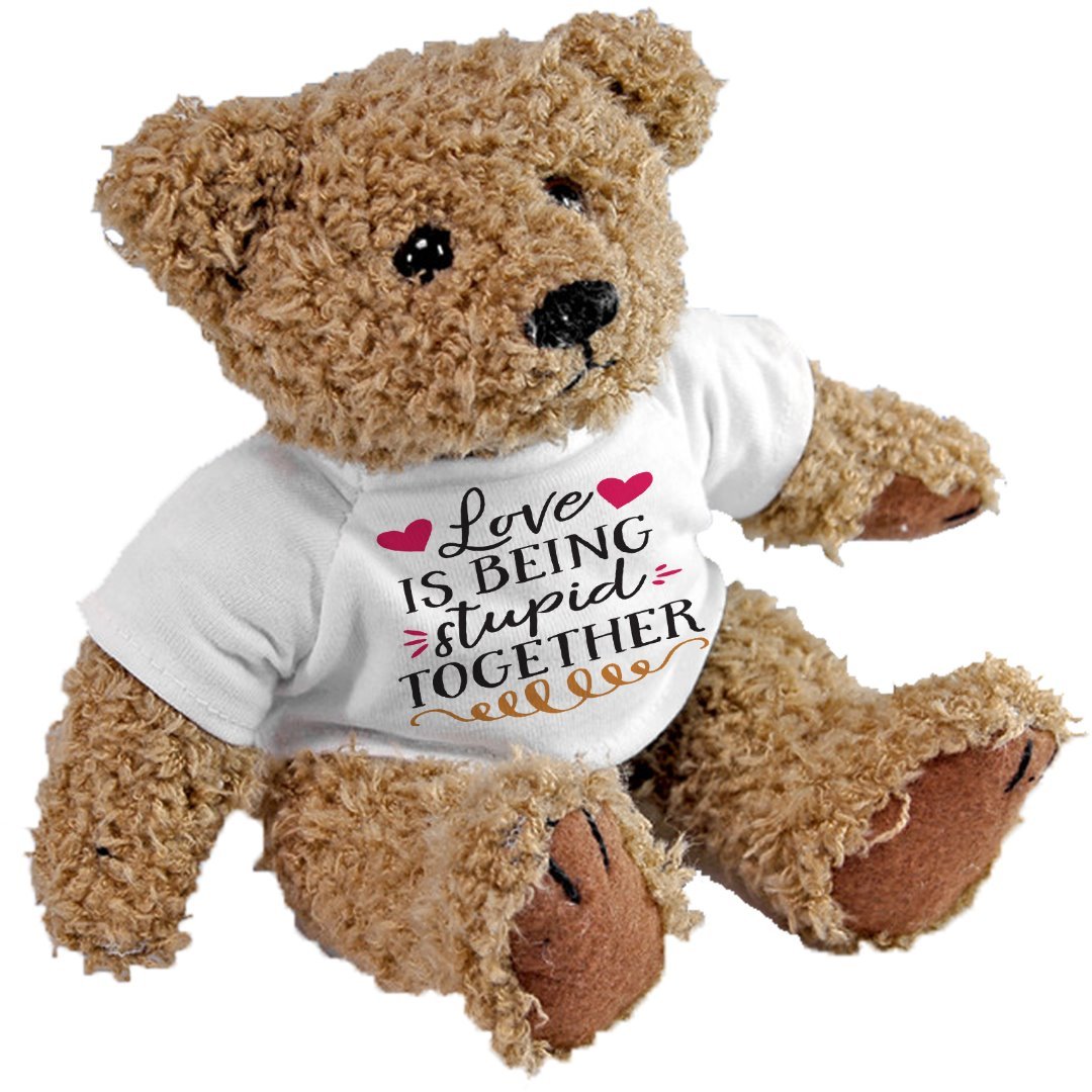 Love is Being Stupid Together Teddy Bear, Love Gift Anniversary