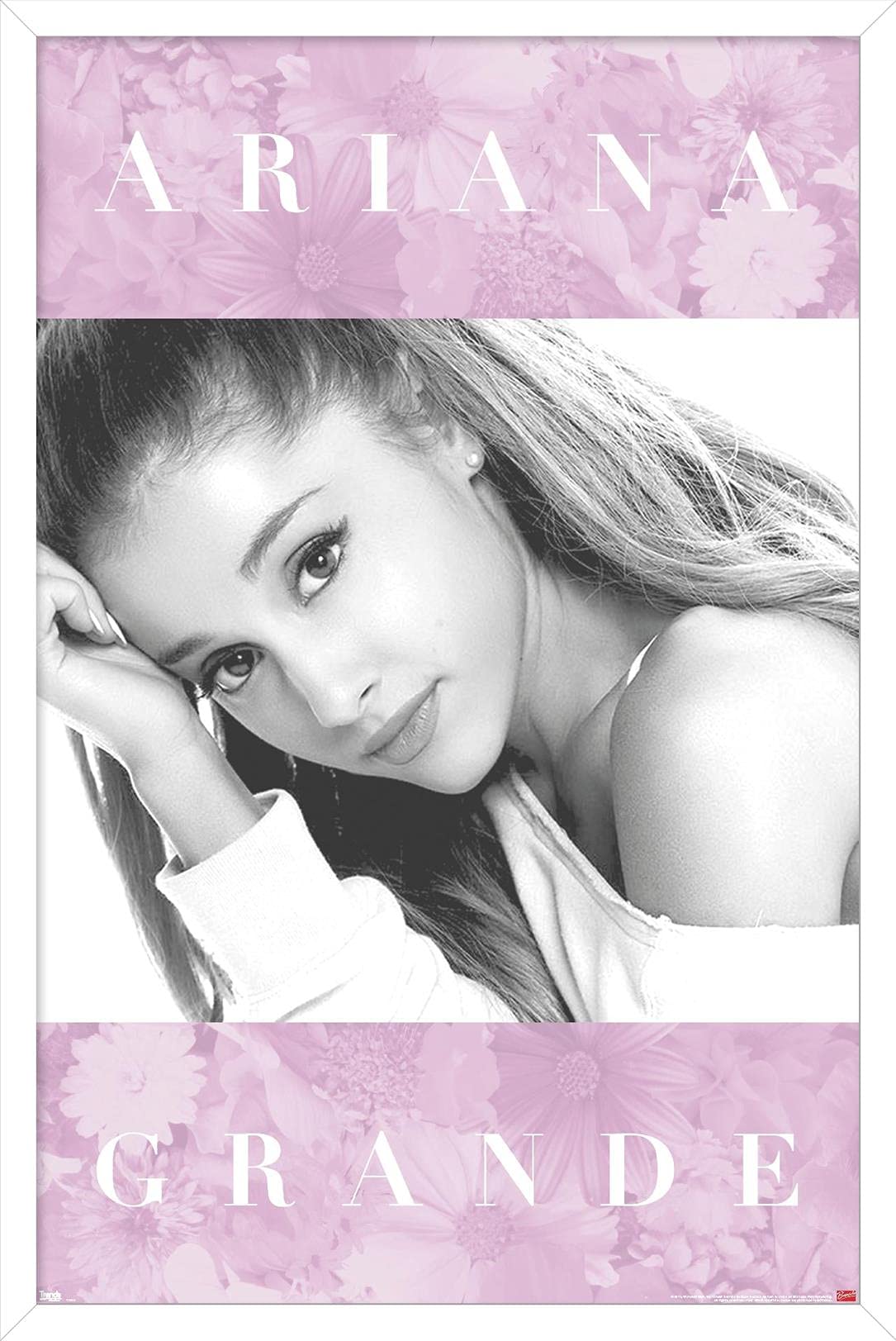 【非売品】国内盤 アリアナ・グランデ Ariana Grande 告知ポスター③ 非売品】国内盤 アリアナ・グランデ Ariana Grande 告知ポスター