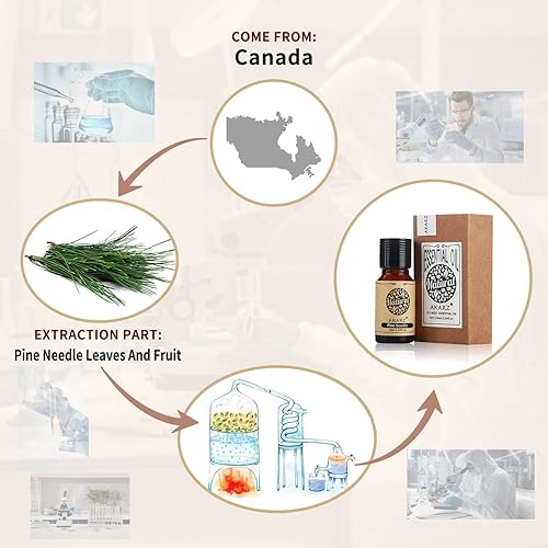 Miniatura 7 de AKARZ Aceite esencial de alcanfor natural orgánico puro de alta calidad para el cuidado del cabello de la piel, difusor, velas, jabón, fabricación,