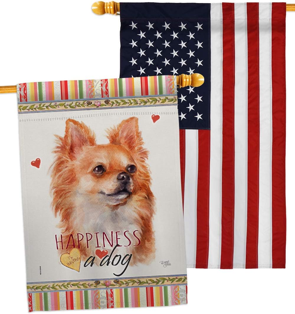 Breeze Decor Brown Chihuahua Happiness House Flag Pack Dog Puppy Spoiled Paw Canine Fur Pet Nature Farm Animal Creature Embroidery Banner Small Garden Yard Gift Double-Sided, Made in USA