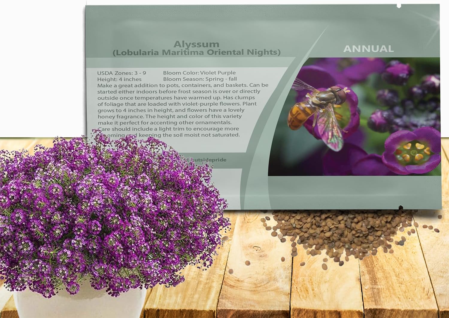 Alyssum Violet Purple Oriental Nights Groundcover & Flower Seeds