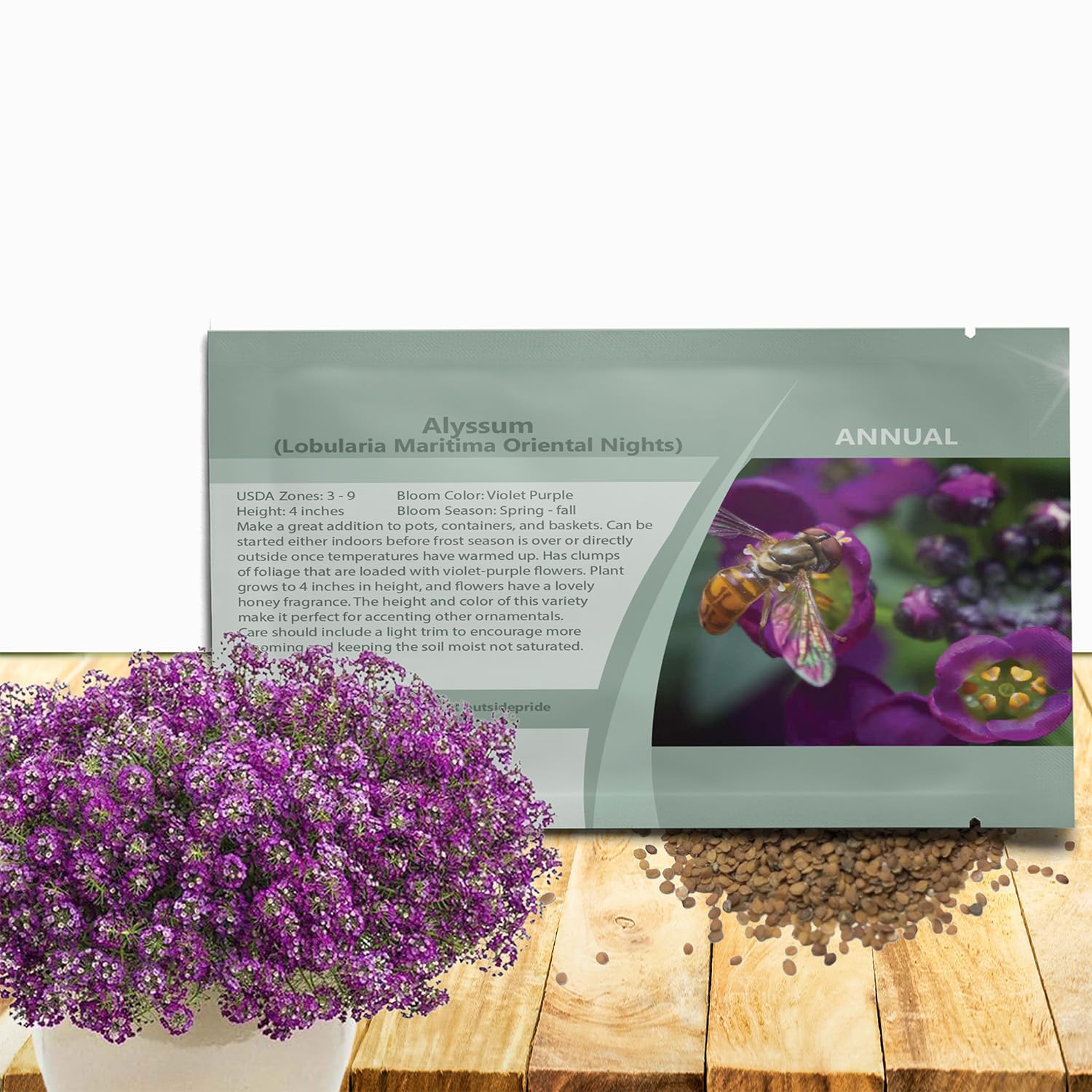 Outsidepride Oriental Nights Alyssum Seeds - 5000 Pcs Annual, Drought-Tolerant & Pollinator-Friendly Ground Cover Seeds w/Fragrant Honey Blooms for Low-Growing Xeriscaping & Outdoor Planting