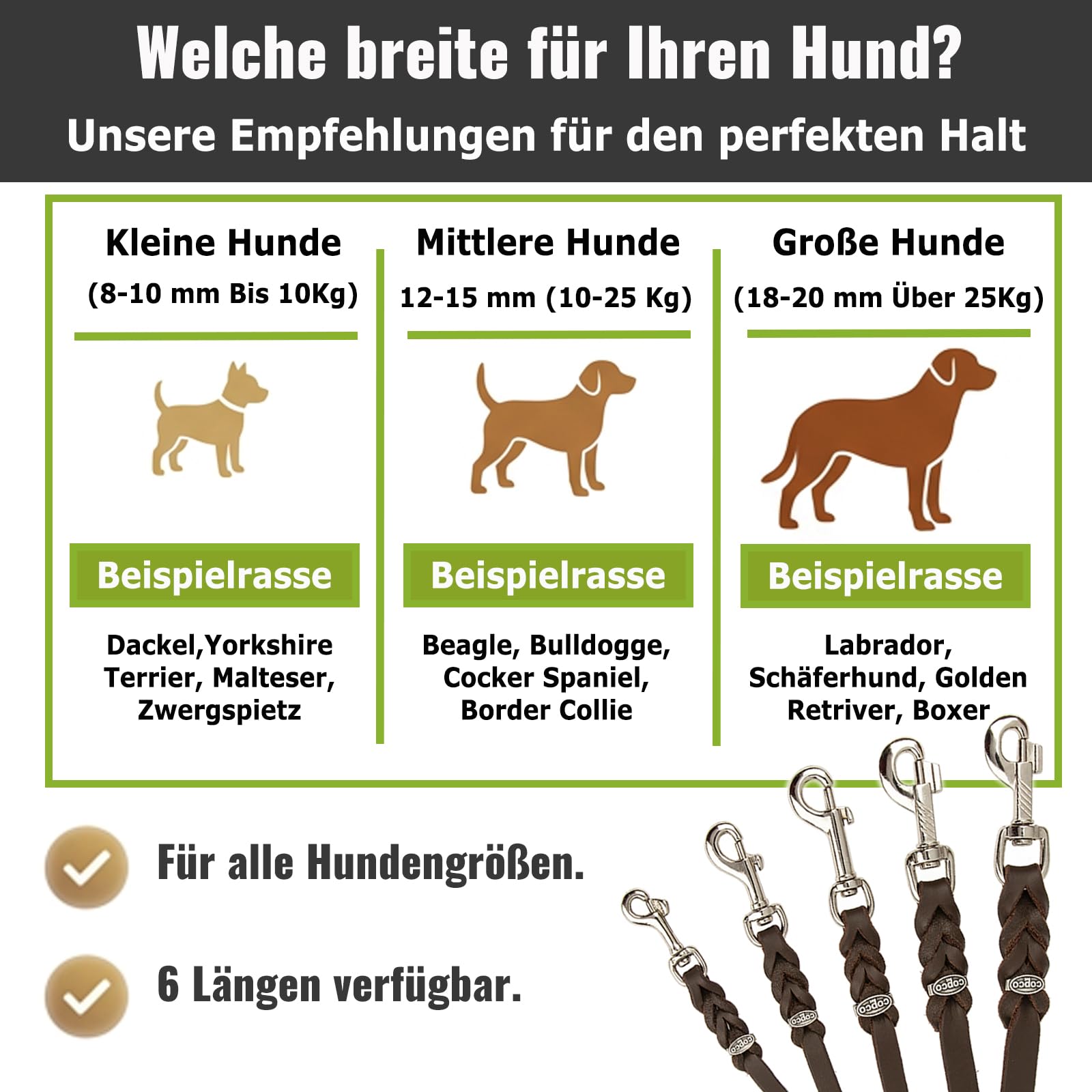 CopcoPet Laisse en cuir gras pour chien Laisse réglable en 3 positions en cuir souple avec mousquetons et ferrures en chrome Laisse tressée 100 % fabriquée à la main en Allemagne (2,80 m x 20 mm,