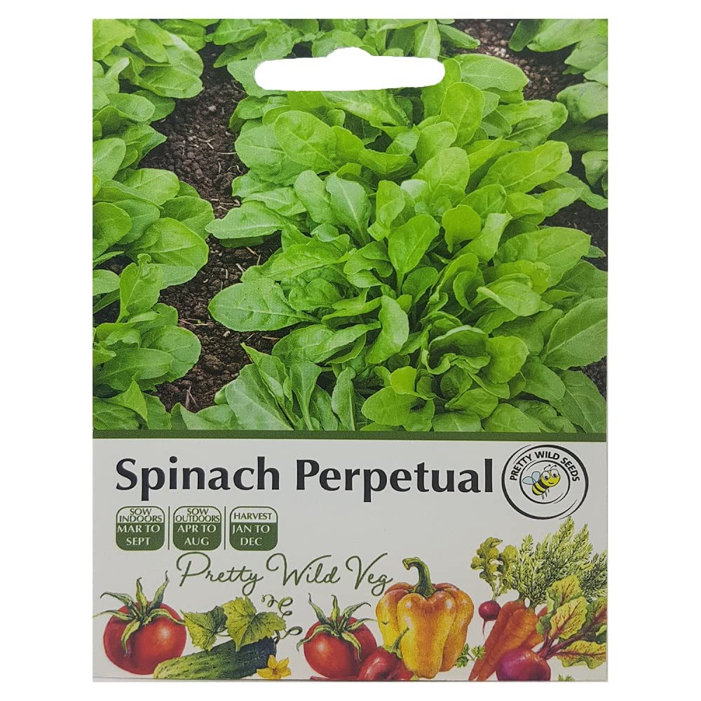 Cucumber Cucamelon Seeds in Pictorial Packet from a UK Seller Cute Fruits with Unique Crunch & Flavour — view 80