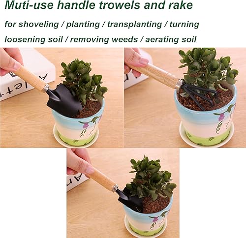 Miniatura 4 de Juego de 3 mini herramientas de jardín, palas pequeñas y rastrillo de mano con mango de madera maciza, herramientas de jardinería de interior para