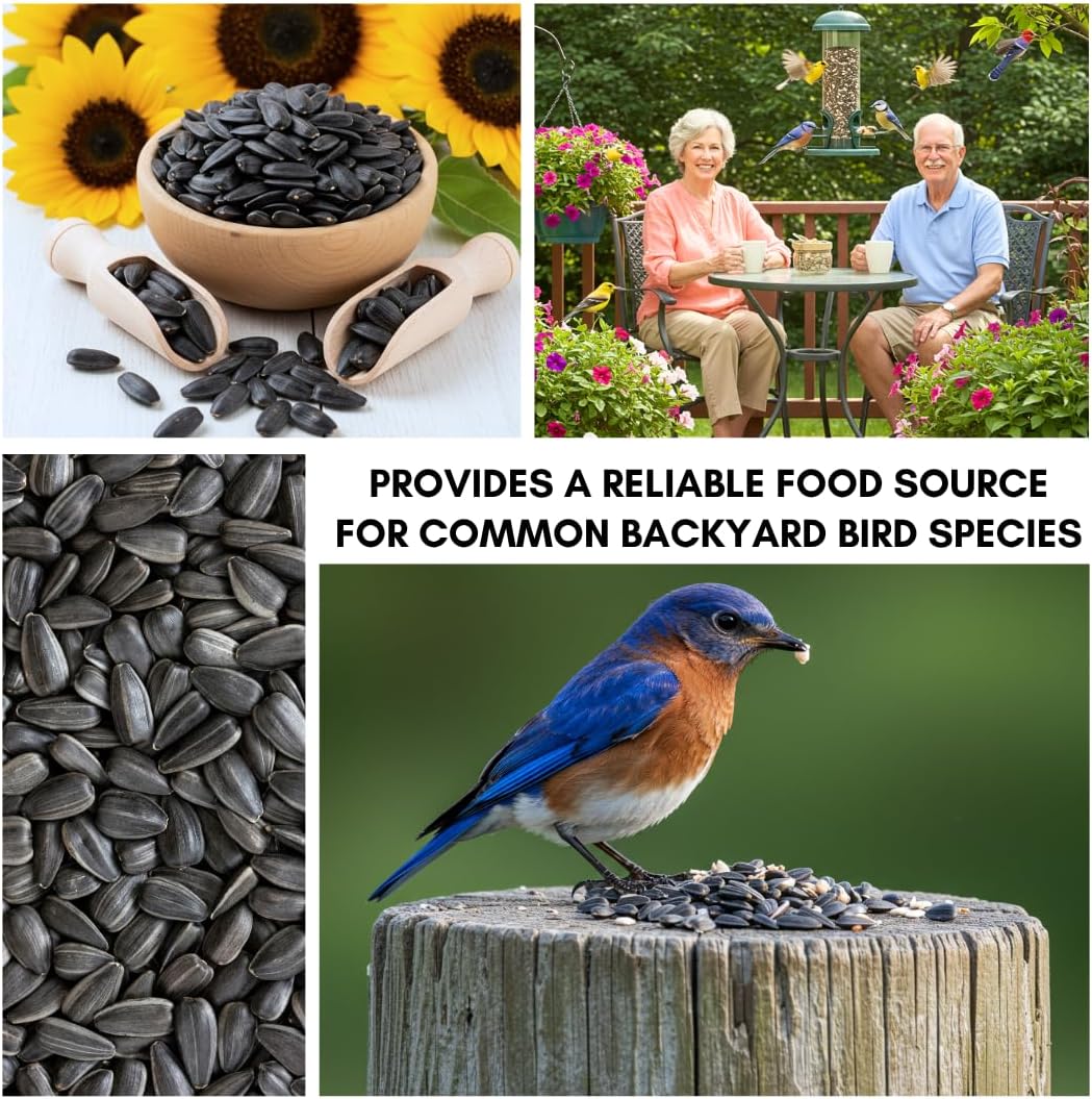 CZ Grain Wildlife Black Oil Sunflower Seeds for Birds and Wildlife, Non-GMO & USA Grown on Small Farms (15 Pounds)