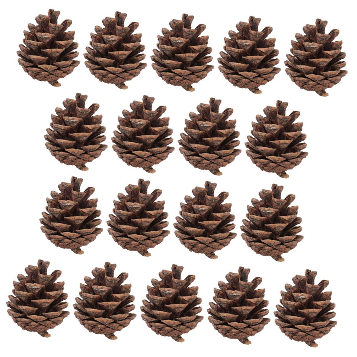 Alipis 30 Pezzi di Pigne Naturali da 5-7 CM Decorazioni Natalizie da Appendere per Albero di Natale Ornamenti Fai da Te per Ghirlande Tavoli e Matrimoni all’Aperto