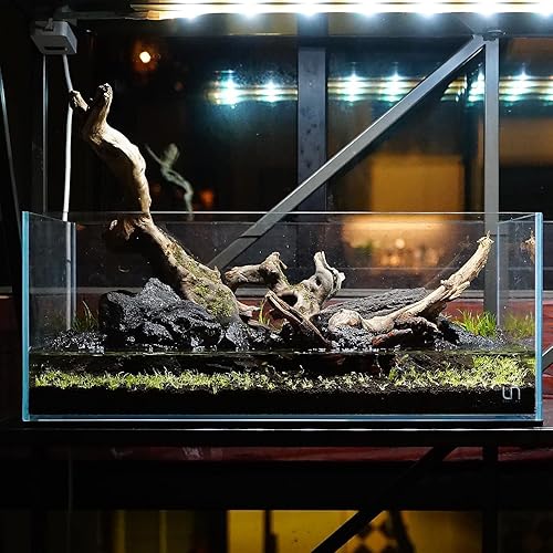 Miniatura 5 de Ultum Nature Systems Controsoil - Sustrato de acuario plantado para pecera, plantas acuáticas naturales de agua dulce, camarones, paisaje acuático -