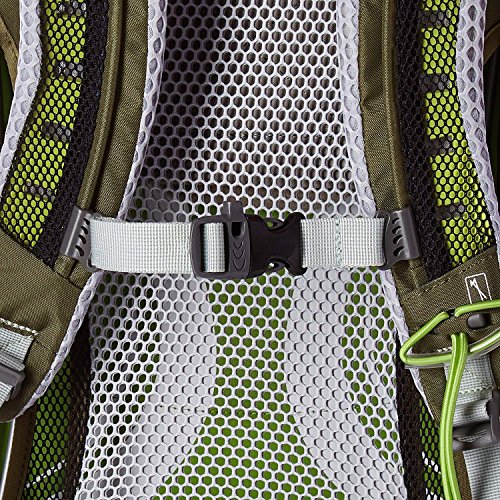 Osprey Stratos 24 Men's Hiking Backpack , Gator Green #TOP2