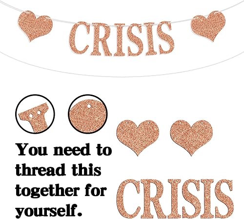 Miniatura 6 de Cartel de crisis de Quarter Life, divertido letrero de banderines de cumpleaños, suministros de decoración de fiesta de cumpleaños 2530, fondo de