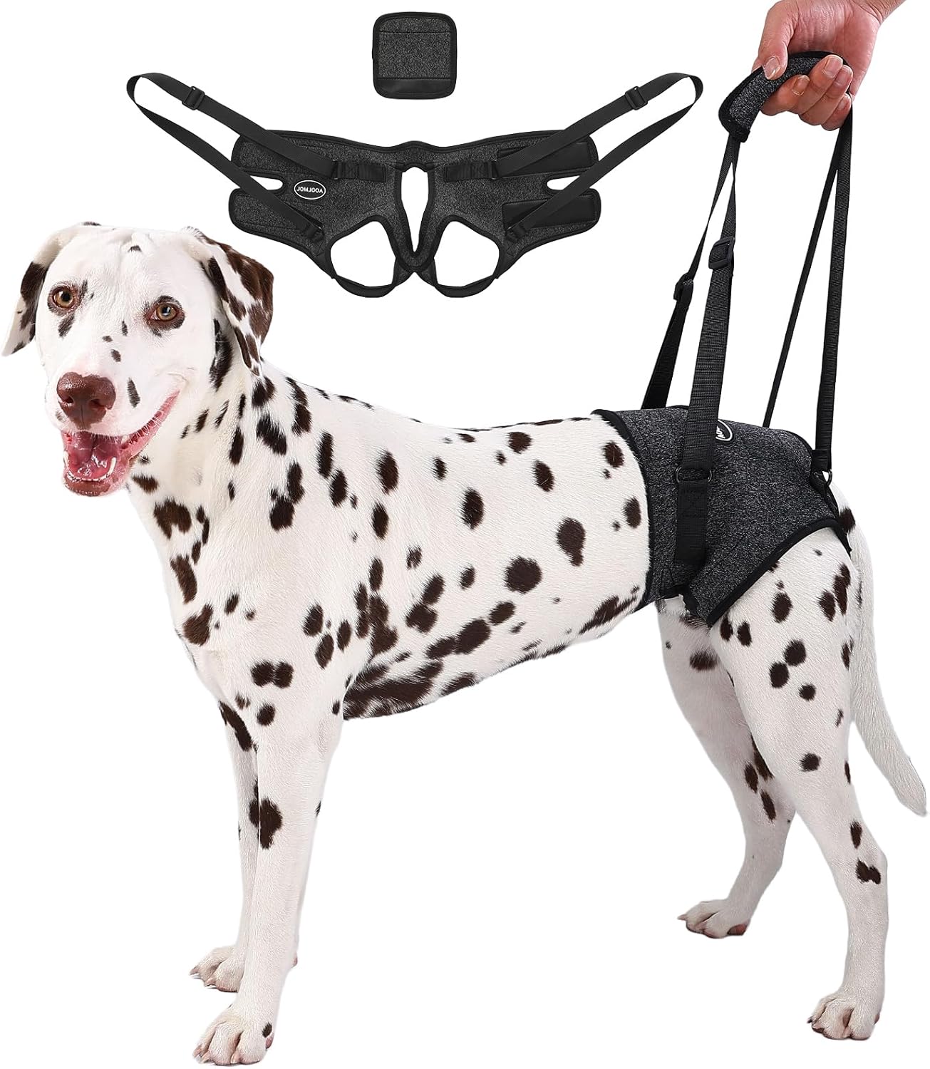 Dog Sling for Medium Large Dog Rear Leg, Lift Harness Provide Support with Muscle Atrophy and Joint Problems for Elderly Injured Arthritic Pet, Dog Weak Rear Legs Provides Rehabilitation Aid
