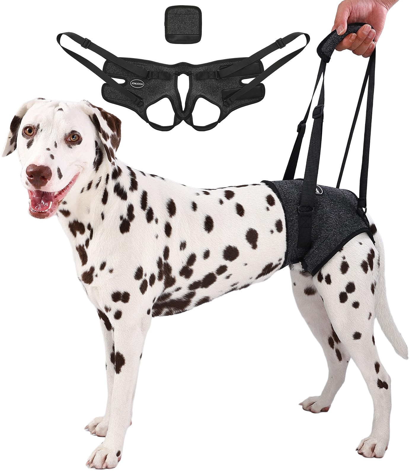 Harnais pour chien souffrant d'atrophie musculaire et d'arthrite