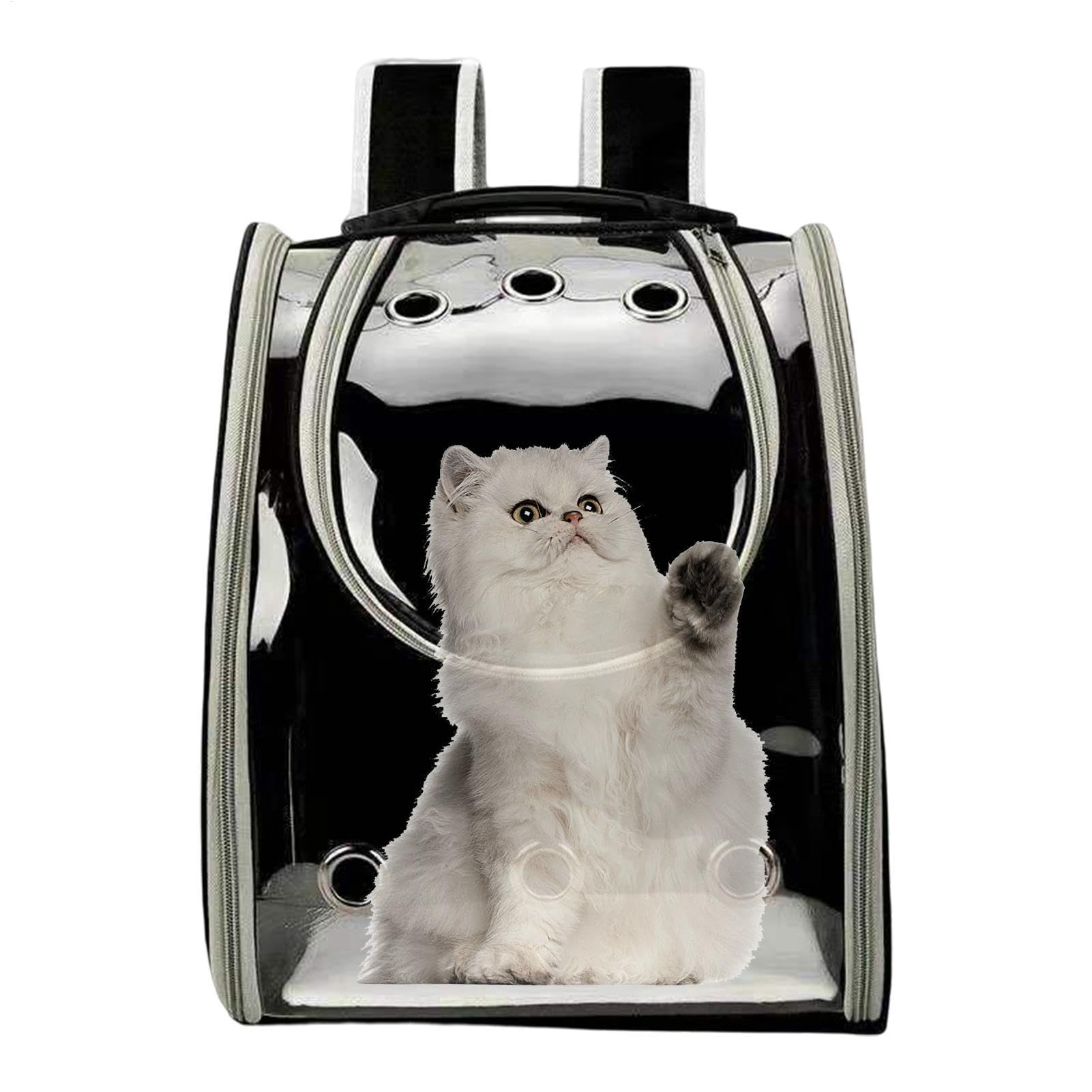 Rucksack zum Wandern mit Katzen Atmungsaktives und transparentes