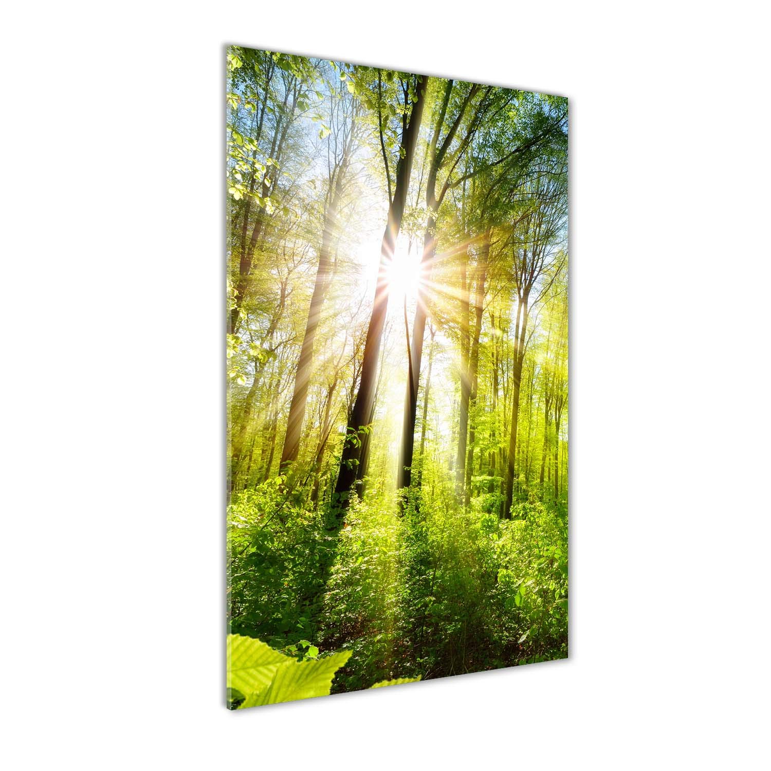 Image sur Verre Acrylique 50x100 Forêt Ensoleillée Décoration Murale Salon et Bureau Esprit Nature