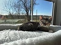 Review Image by Alisha