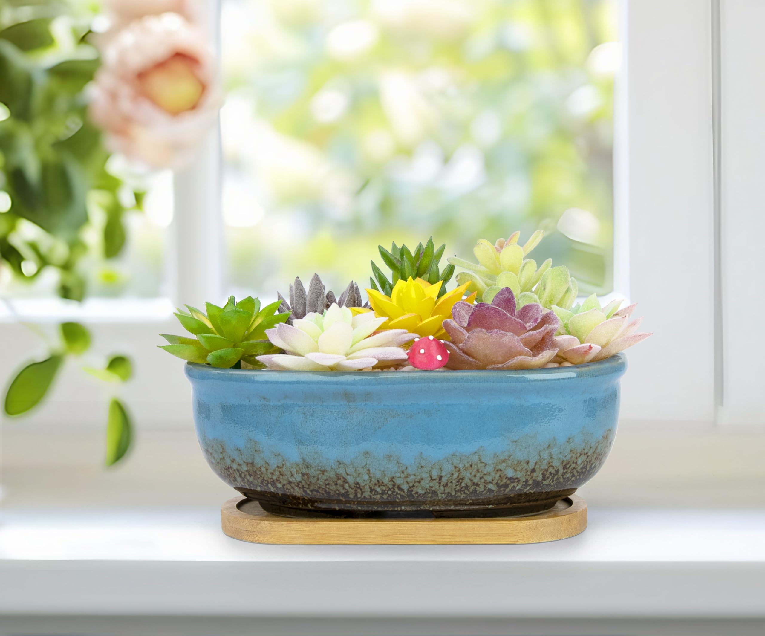 Amazon.com: Succulent Pots, 1 Rectangle Planter + 1 Ceramic Bonsai Pot with Drain Tray, 2 Pack Large Shallow Succulent Planters for Indoor Plants, Round Cactus Flower Plant Pot for Desk Windowsill Decor :