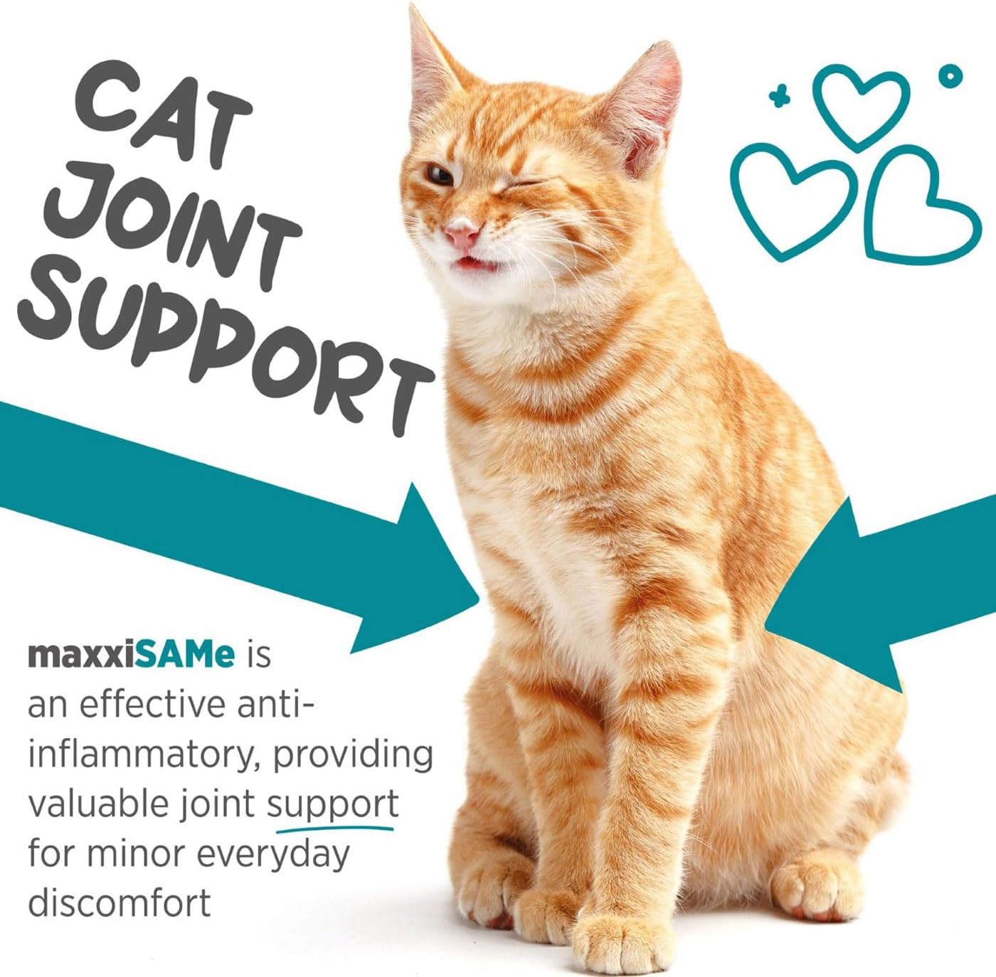 maxxipaws maxxiSAMe Advanced SAM-e Powder Supplement - Liver, Cognitive & Joint Support for Cats, 3.2oz