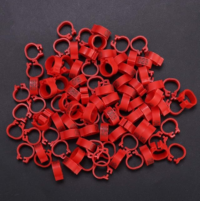 Foto 3 de 8 de 6 Colores 100 Unids/Bolsa 8MM 001-100 Numerados Plástico Pájaro Bandas Anillos Hen Pigeon Pierna Aves…