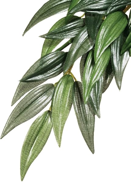 Exo Terra Plante de terrarium en plastique Croton Taille S - 3