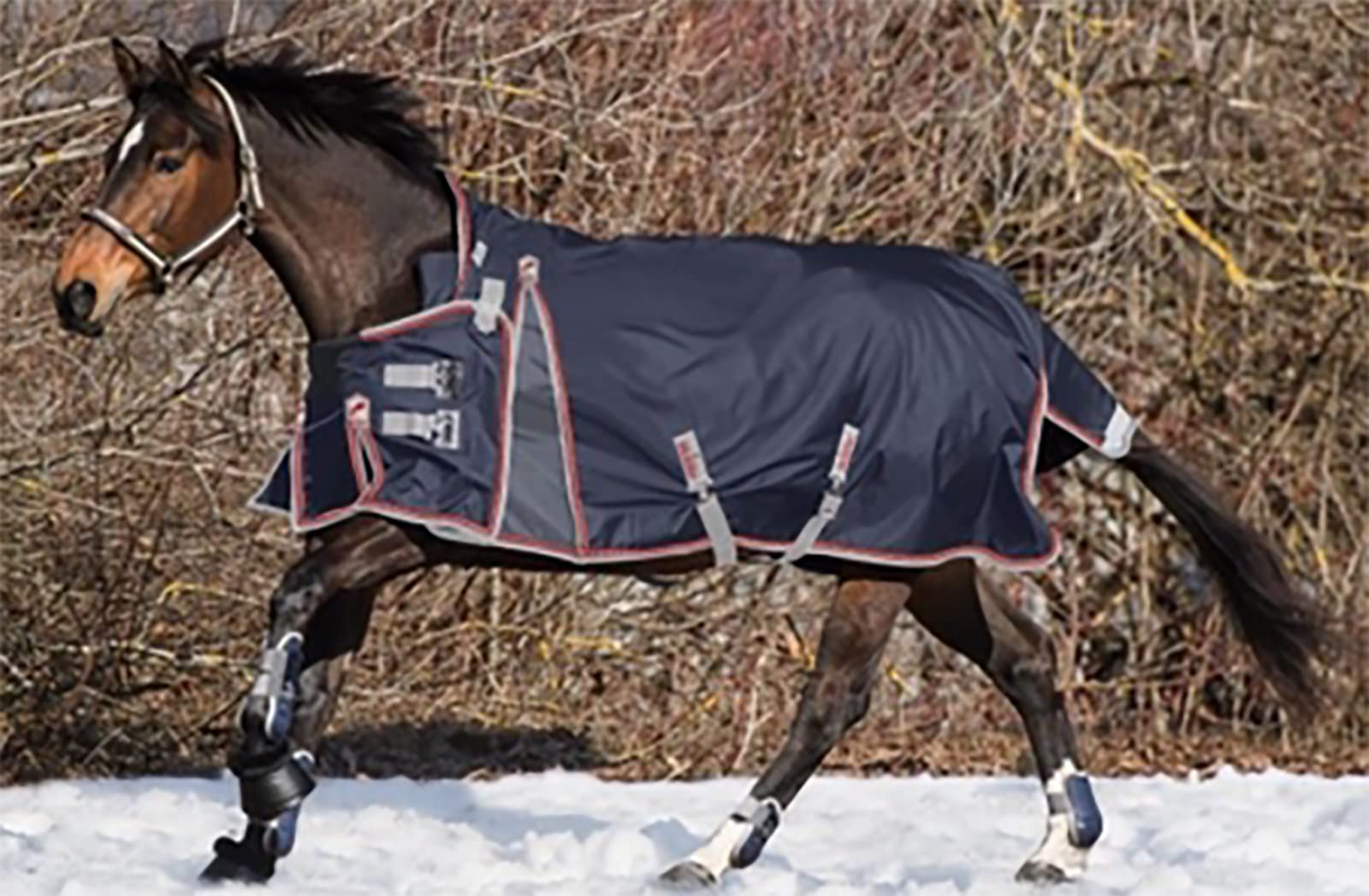 BNALU Espesar Manta de Invierno Heavy para Caballo Manta de Caballo de Invierno Suave Cómoda, Ideal para la Cuadra, algodón de Invierno Equipo Ecuestre(Size:155CM)