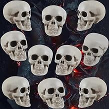 10 Pcs Halloween Skulls Realistic Looking Skulls Skeleton Head for Halloween Bar Home Table Decoration Model Human Skeleton Statue 1.6 x 1.8 x 2.3 Inches