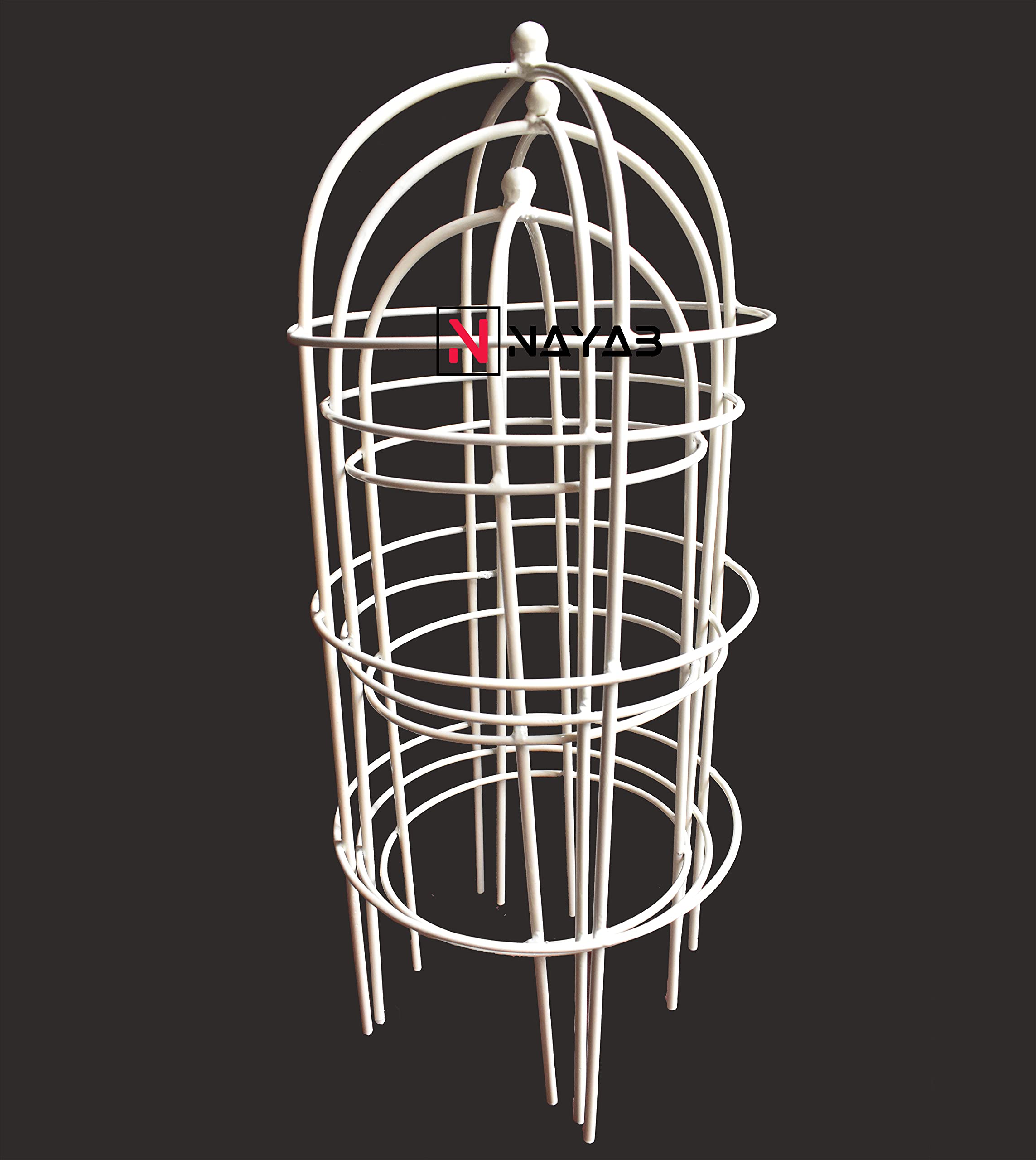 NAYAB Garden Obelisk Iron Trellis Rose Flower Supporter for Climbing Vines and Plants (Set of 3 - Ivory) (B09FL2875M) Amazon Price History, Amazon Price Tracker