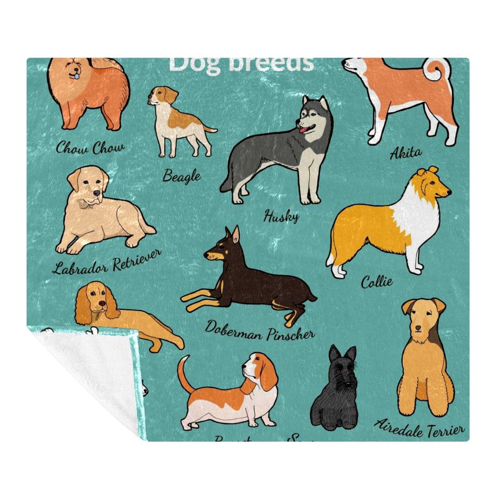Couverture polaire de literie décorative aux finitions soignées pour lit et divan