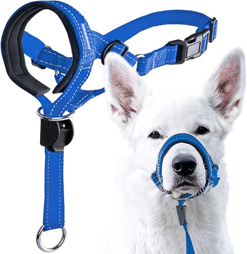 GoodBoy Dog Head Halter with Safety Strap - Stops Heavy