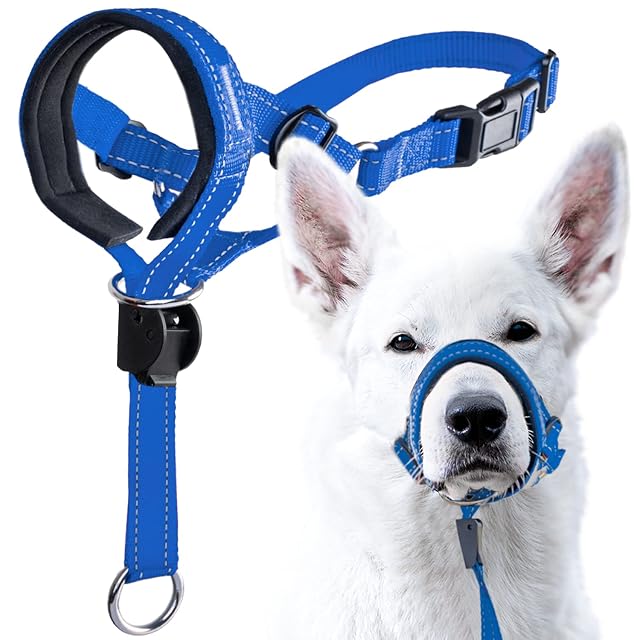 GoodBoy Cabeza de Perro Halter de Nailon Azul (Azul, 3)