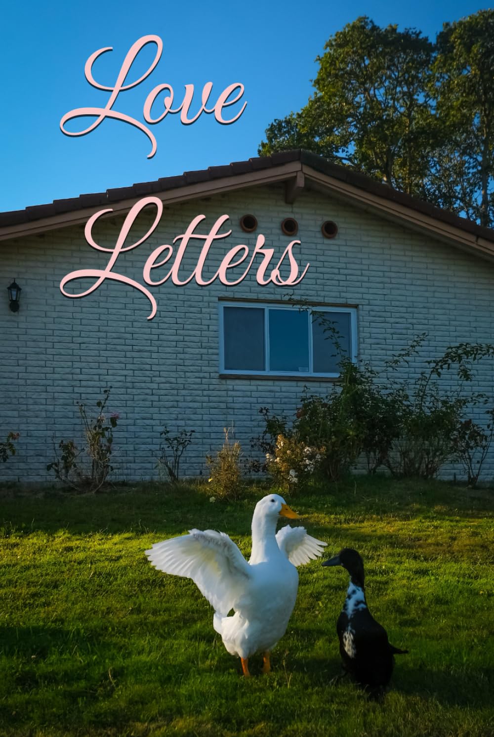Love Letters