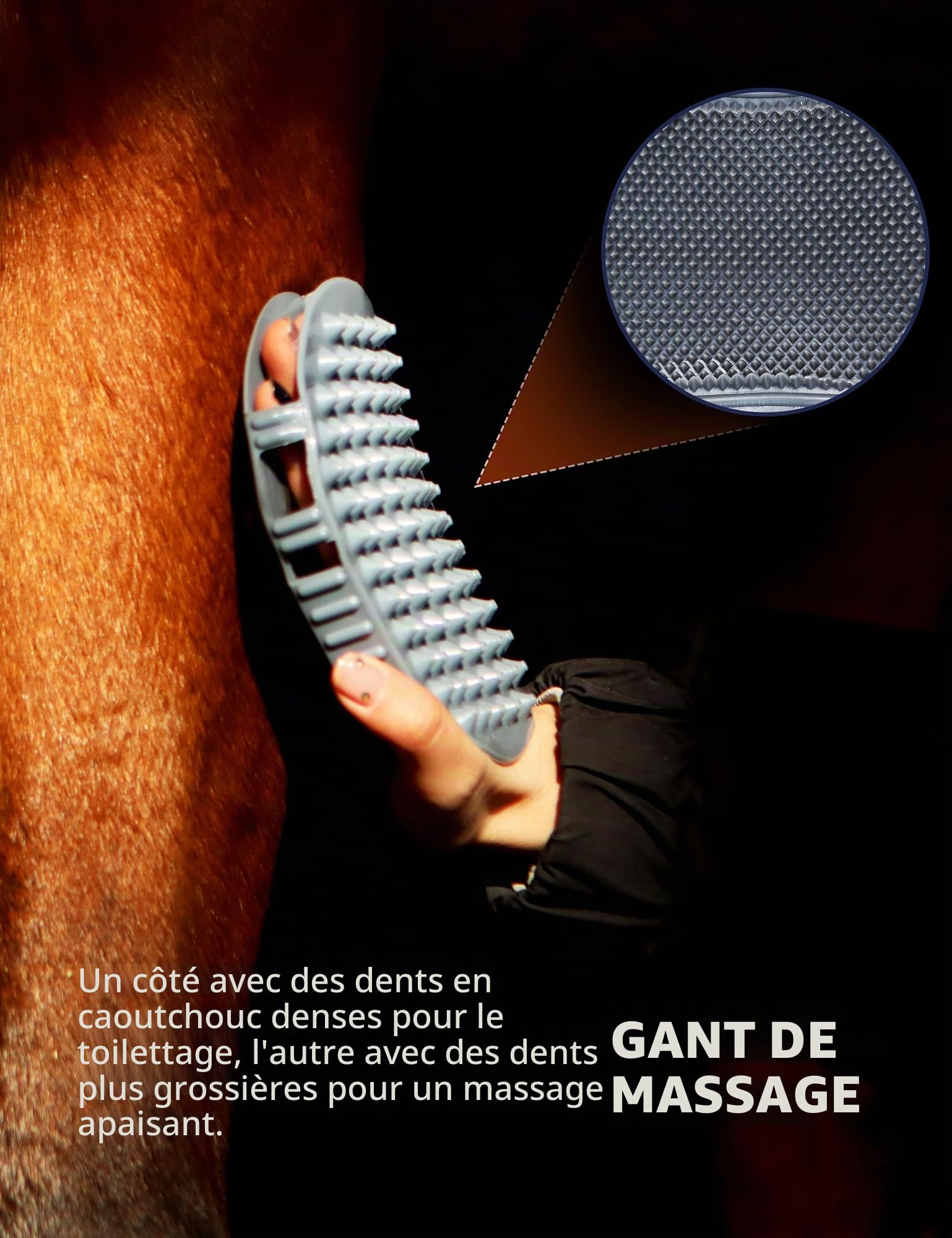 Harrison Howard Kit de toilettage pour chevaux 9 pièces Equine Care Series Ensemble de brosses pour chevaux avec sac fourre-tout organiseur Noir