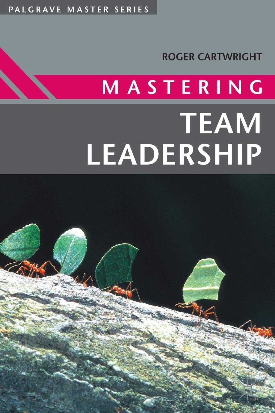 Mastering Team Leadership