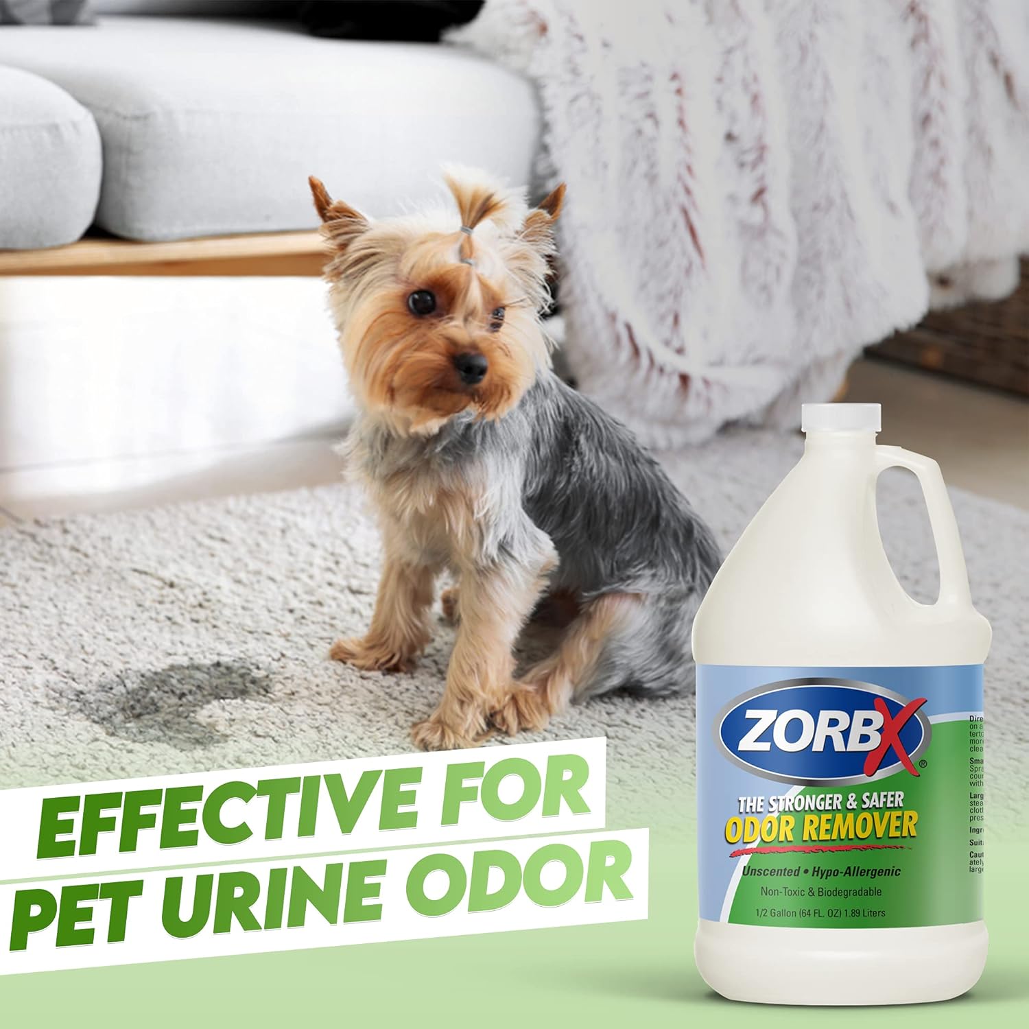 zorbx pet odor remover