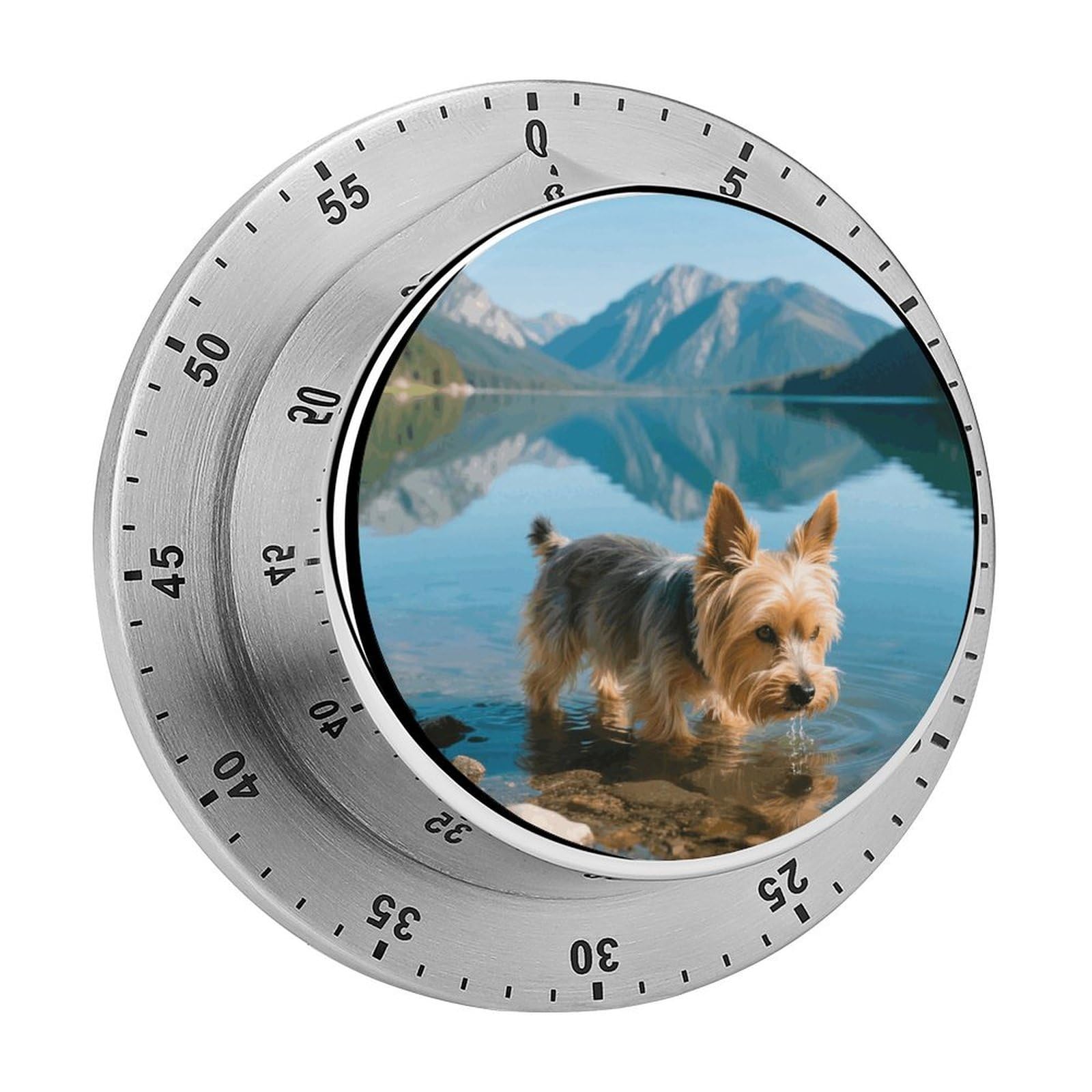 Yorkshire Terrier by Lake Timers Kitchen Chef Cooking Timers Portable Countdown Alarm Loud Countdown Clock Waterproof Stainless Steel Timer Compact 60-Minute Mechanical Timer Daily Use
