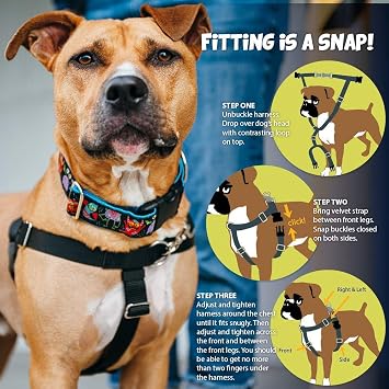 2 Hounds Design Freedom No-Pull Dog Harness Training Package, X-Large, Raspberry