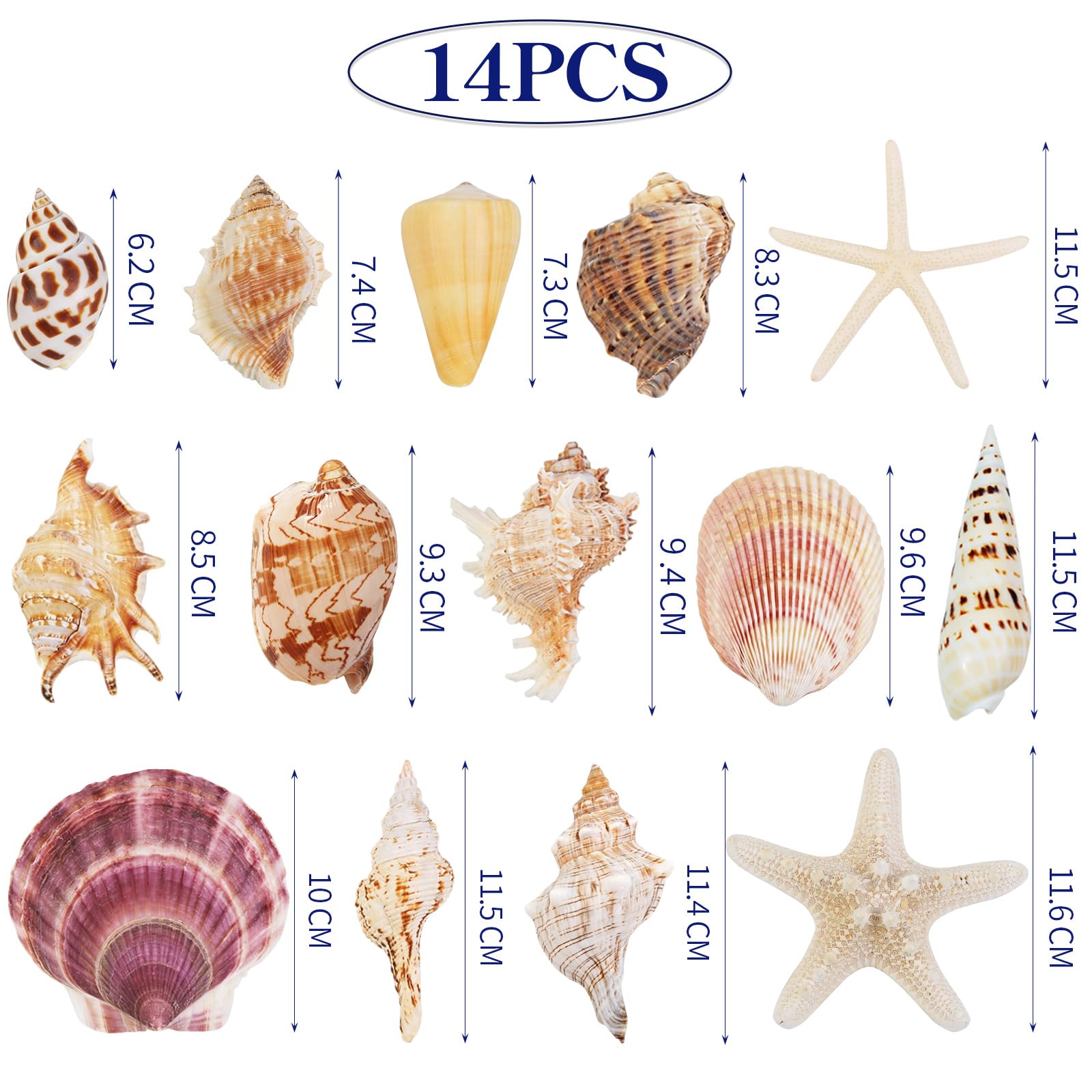 Conchiglie marine per decorare 14 conchiglie grandi a forma di stella marina per feste in spiaggia, riempitivi per vasi, decorazioni per la casa, artigianato fai da te, bagno, decorazioni per acquari